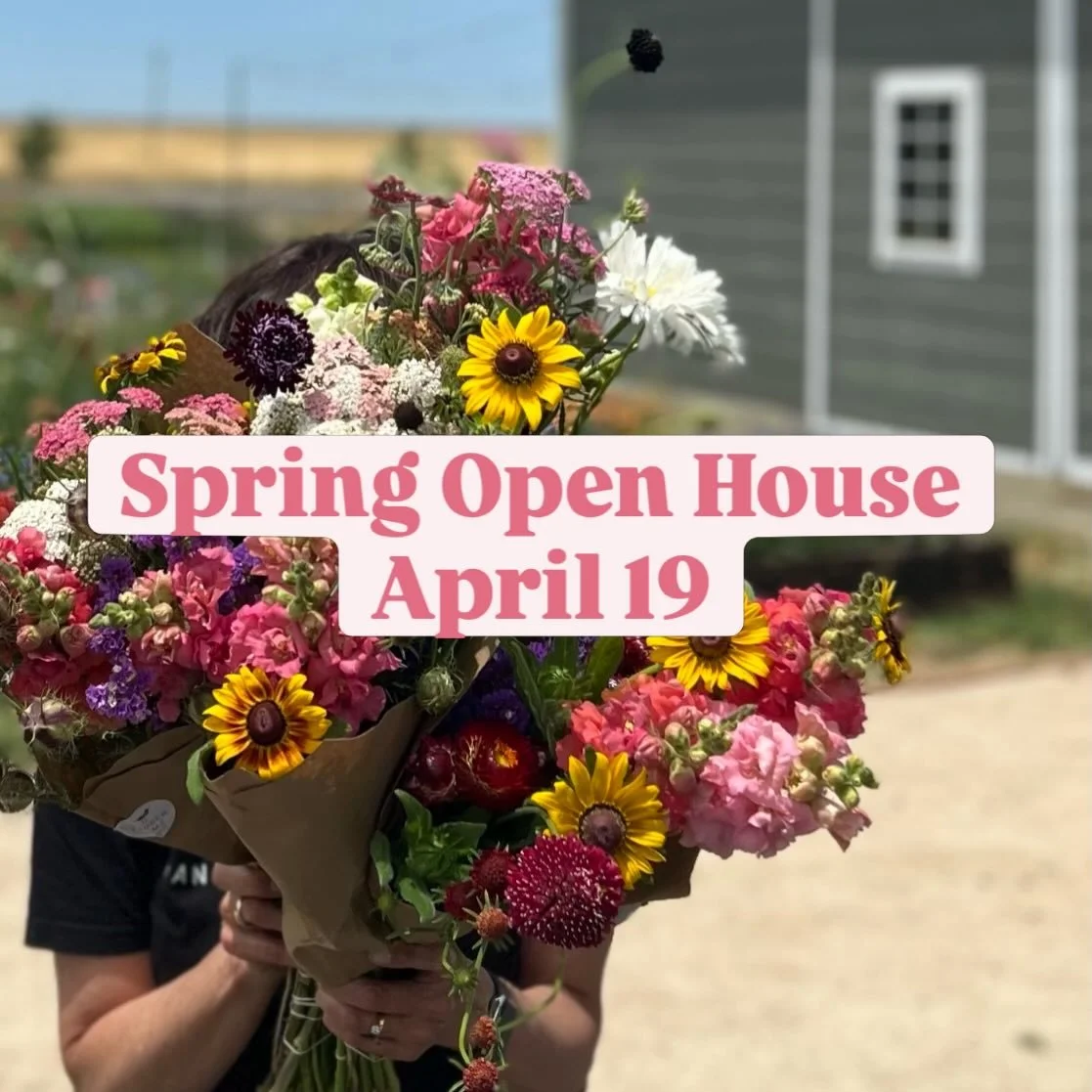 ROLLIN&rsquo; THOSE BARN DOORS OPEN! Come check us out.

Want to explore your friendly local flower farm? Join us for a relaxed Spring Open House at Killdeer Farms on
Sunday, April 19 from 9 am&ndash;noon. It&rsquo;s free!

No tickets. No pressure. J