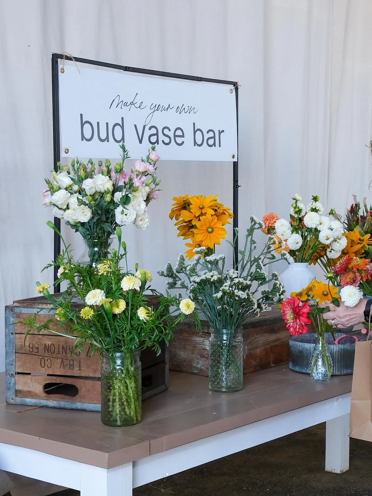 SPRING OPEN HOUSE! Barn doors open this Sunday at 9.

Beds are planted. Seedlings are pushing. The babies are in the ground doing the quiet work that makes the Mother&rsquo;s Day show happen. The sunflowers are sideways after last weekend&rsquo;s win