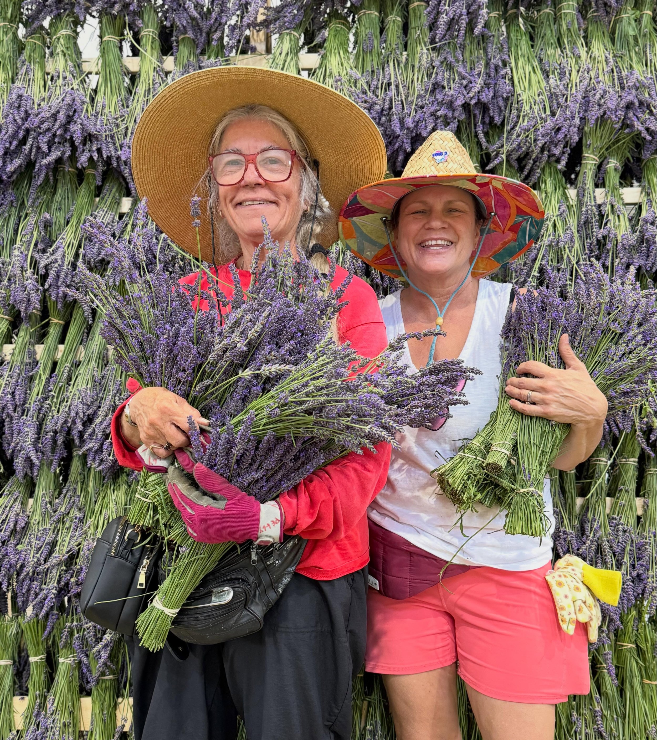 LAVENDER WREATH WORKSHOP! What are we going to do with all these plants?

June at the farm smells like lavender&mdash;and we&rsquo;re inviting you right into the middle of it.

Join us Saturday, June 20 for a relaxed dried lavender wreath workshop wi