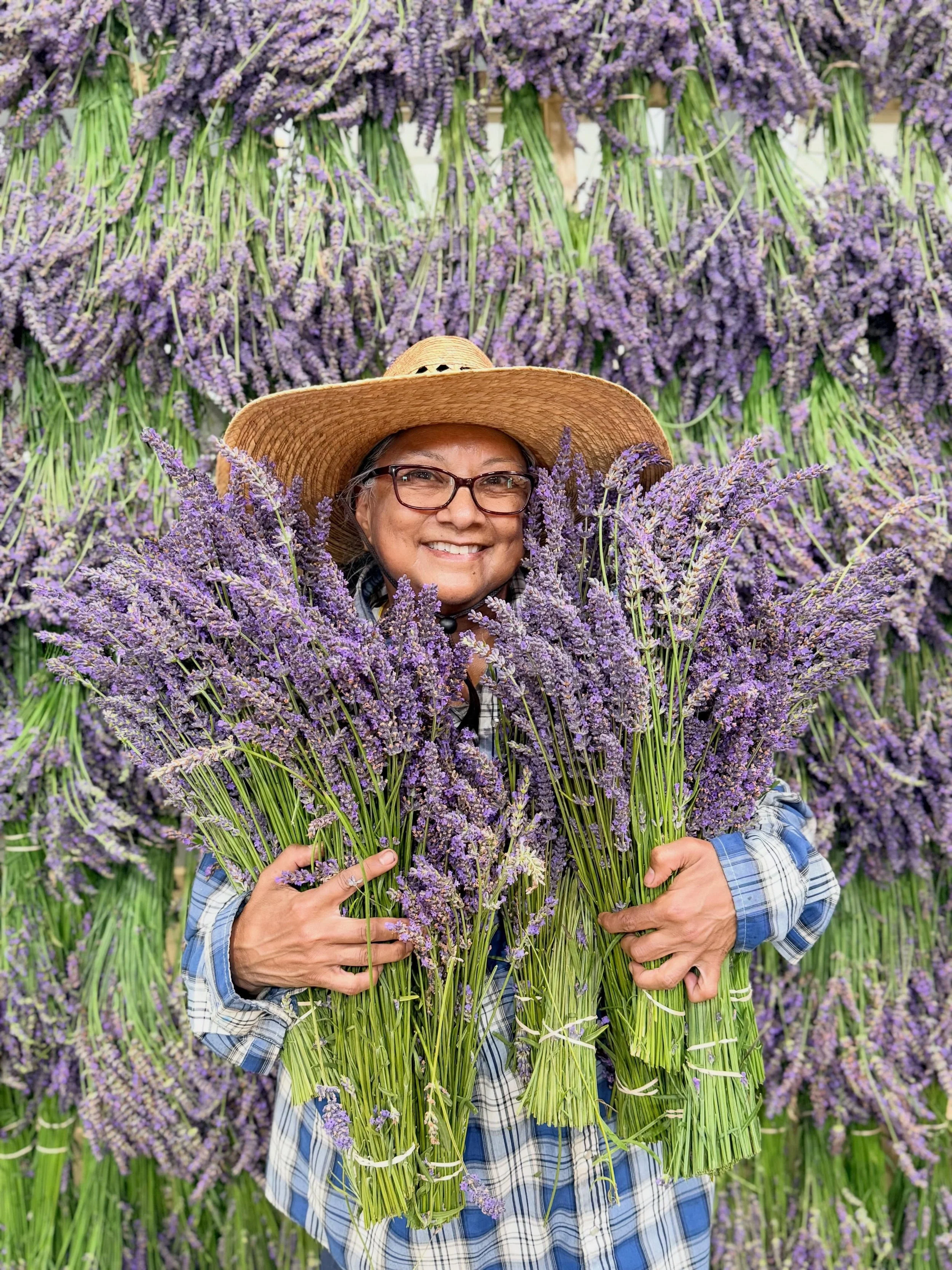 SPEND SUNDAY MORNING AT THE FARM! You won&rsquo;t believe how good it smells.

The lavender harvest is in full swing, and you&rsquo;re invited to help us tackle the job, Sunday morning, May 31, 8:30-11:30 am. It&rsquo;s a fabulous way to get your ste