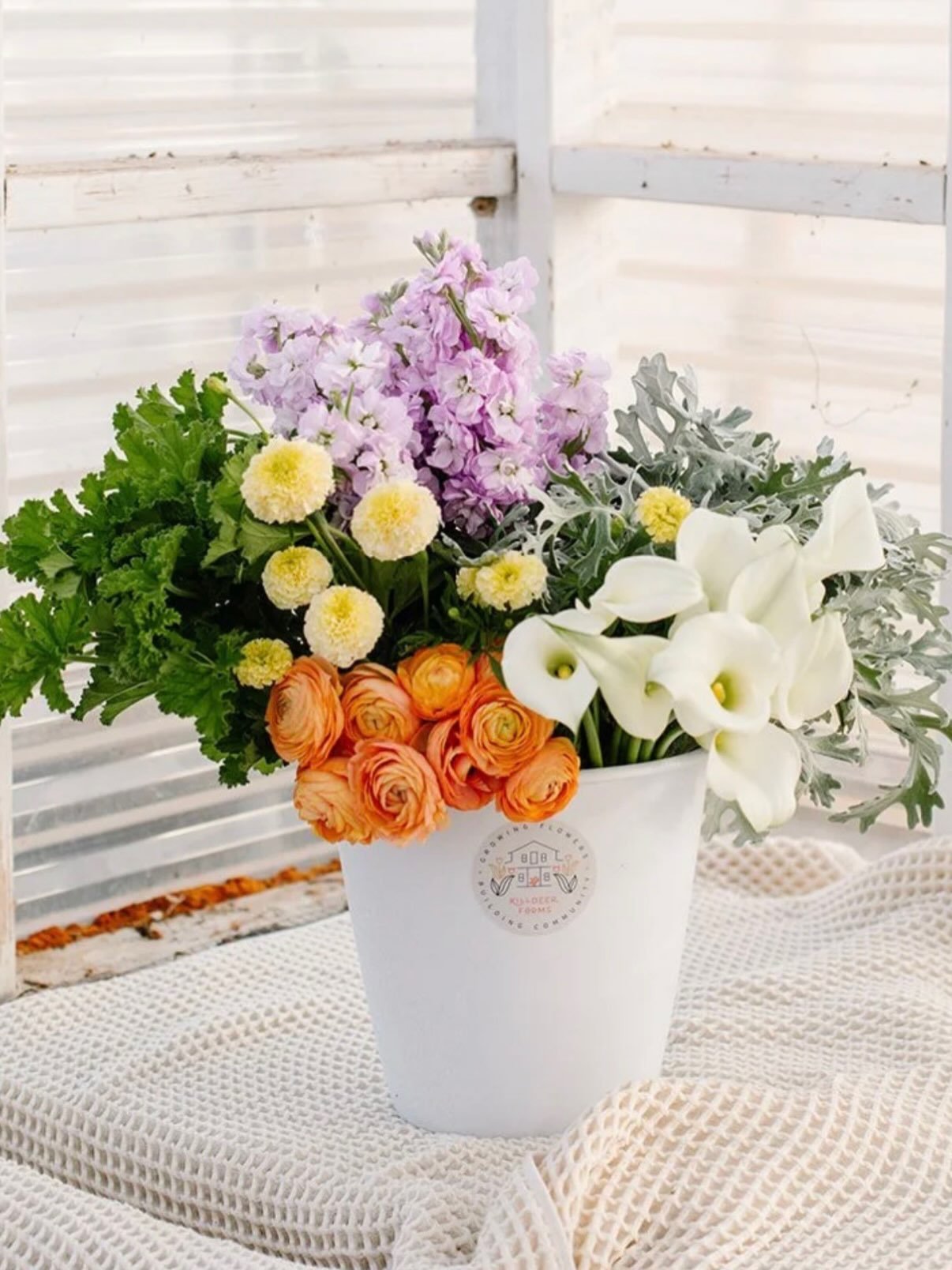 HAVE YOU EVER HAD TOO MANY FLOWERS? No such thing!

There are certain joys in life that only happen when you have a lot of something.

🍑 A basket overflowing with summer peaches.

🐶 Getting tackled by a pile of wiggly puppies.

🌸 An entire bucket 