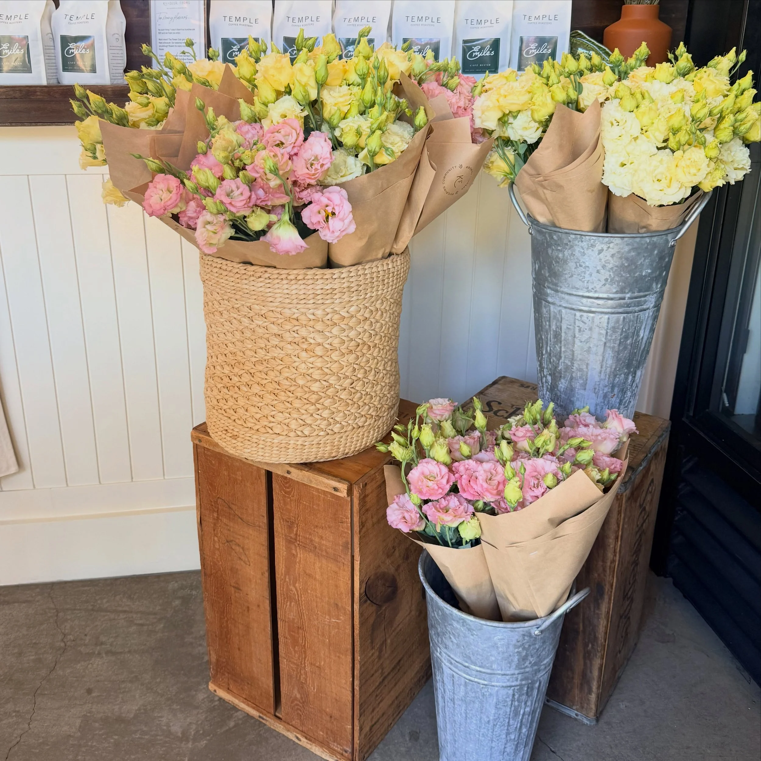 LISIANTHUS &amp; LATTES! Get yours today @emilescafe 

Nothing better than a little Friday pick-me-up headed into the weekend!