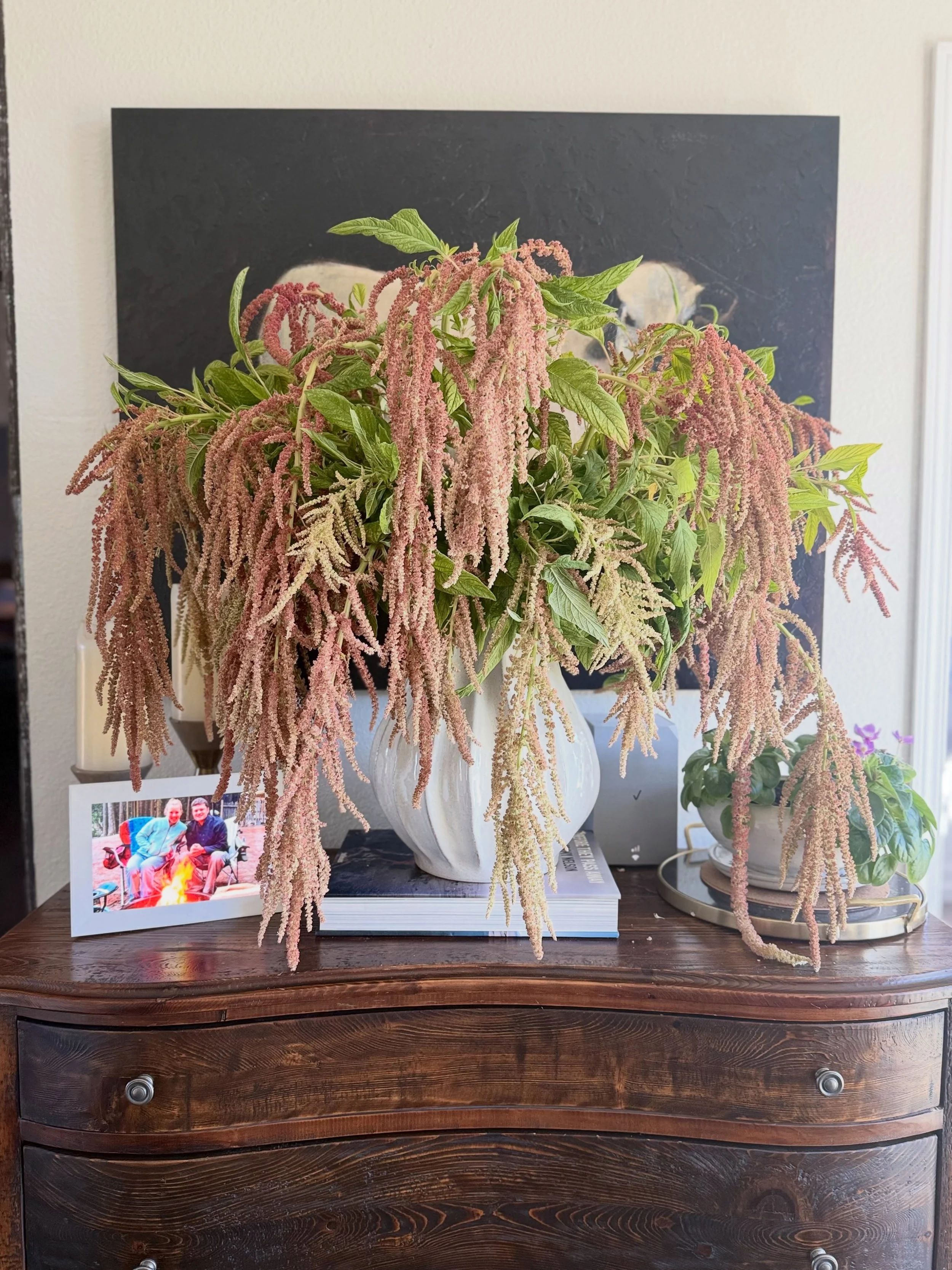 TODAY IN THE BIG VASE: Coral Fountains Amaranth.

Pretty, but she&rsquo;d like a son of a gun.

Do yourself a solid, and get a big vase with a lot of flowers. 10/10 recommend 

#flowers #flowerfarm
