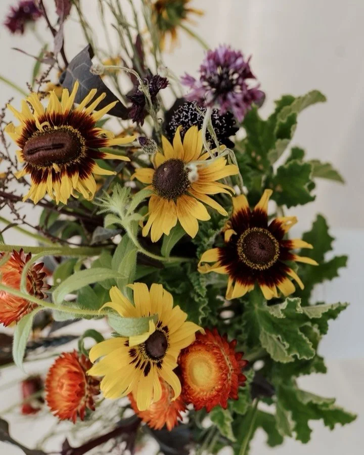FALL FLOWERS - Delivered in West Sac!

Some seasons are worth stretching just a little longer.

As the evenings finally cool and life settles into a gentler rhythm, our fields begin producing a whole new wave of gorgeous, seasonal flowers. We created