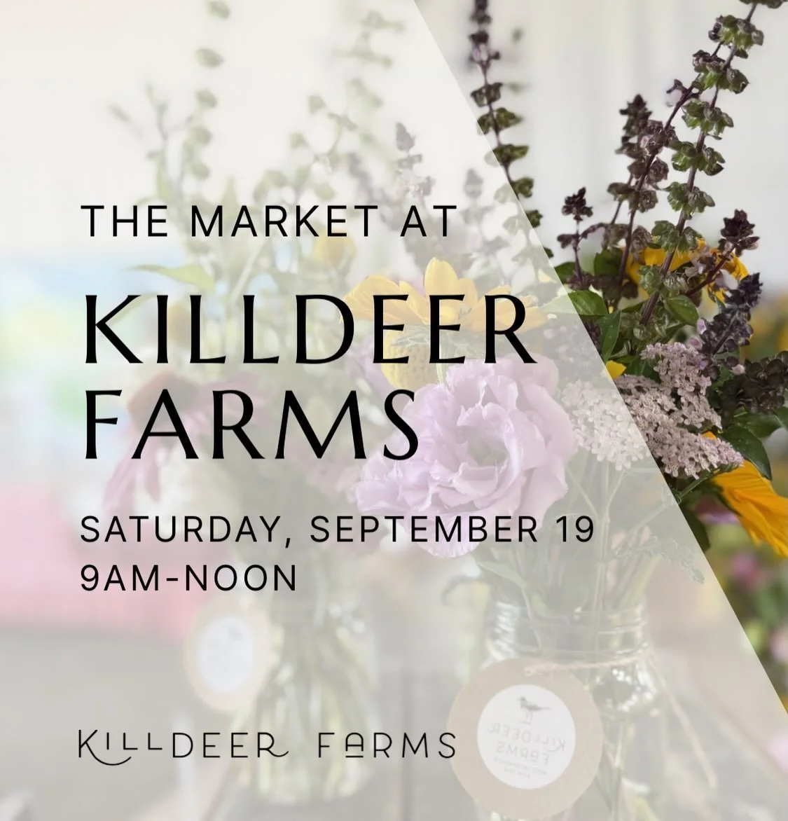 WELCOME BACK! We&rsquo;re opening the farm for fall!

After a quiet summer, The Market at Killdeer Farms returns on Saturday, September 19.

Come grab a coffee, wander the farm with a friend, and shop the first pumpkins of the season&mdash;along with