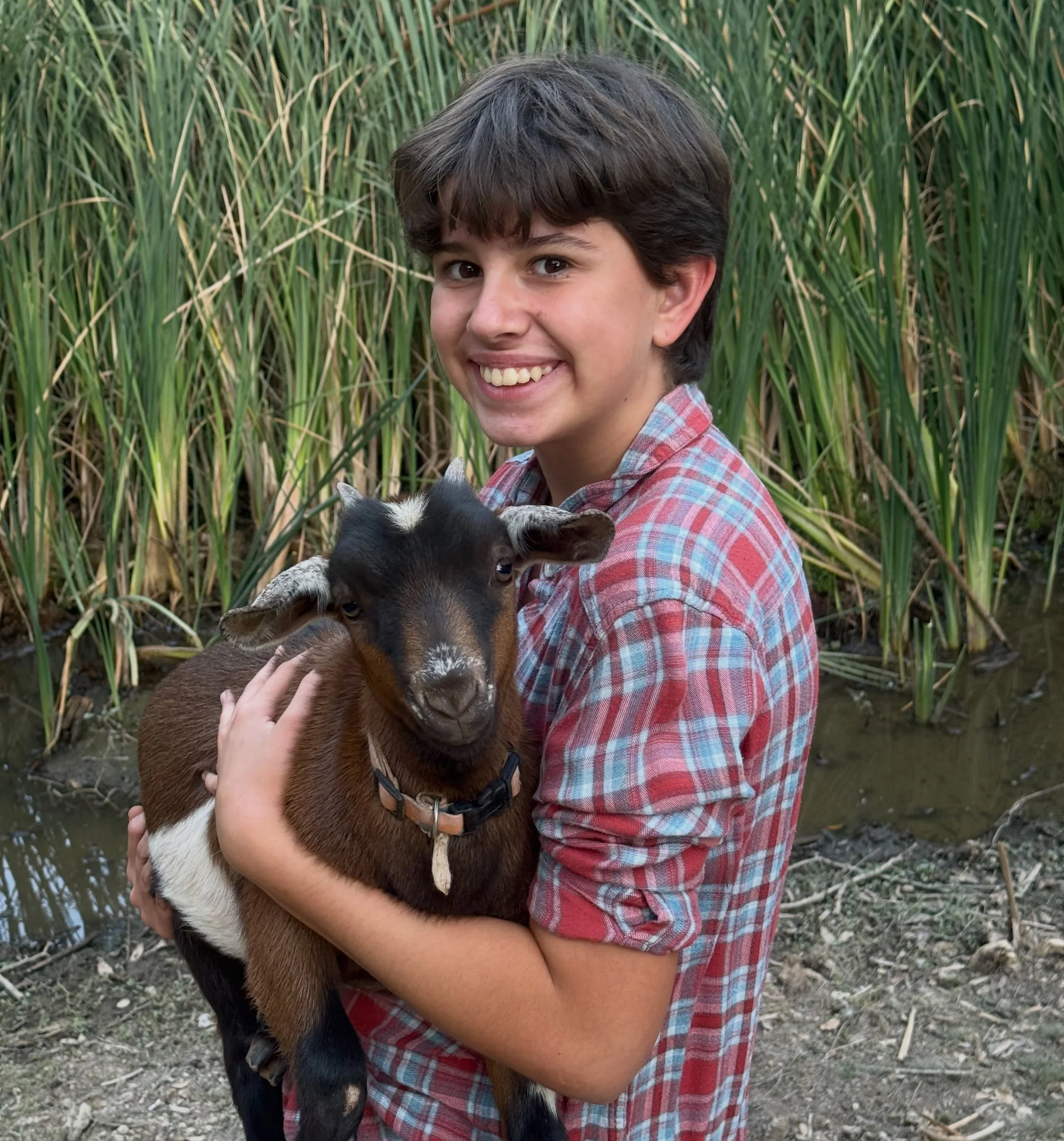 SPARKLE THE GOAT IS FOR SALE! (Not our goat)

Scott says I cannot have a goat. But YOU can have a goat. This is Sparkle and her person Ivy. 

Ivy has started her first business, Ivy Acres Livestock &amp; Goods, and she will be selling her eggs and go
