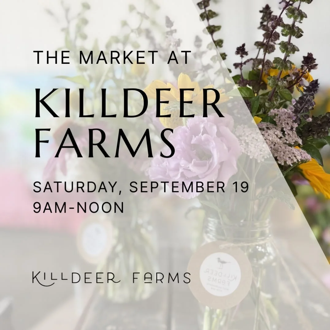 THIS WEEKEND! We are so ready to have you back.

Scott has been having an absolutely grand time merchandising the barn with pumpkins&mdash;which means moving them around 15 times, sleuthing antique stores for props, and talking smack about Martha Ste