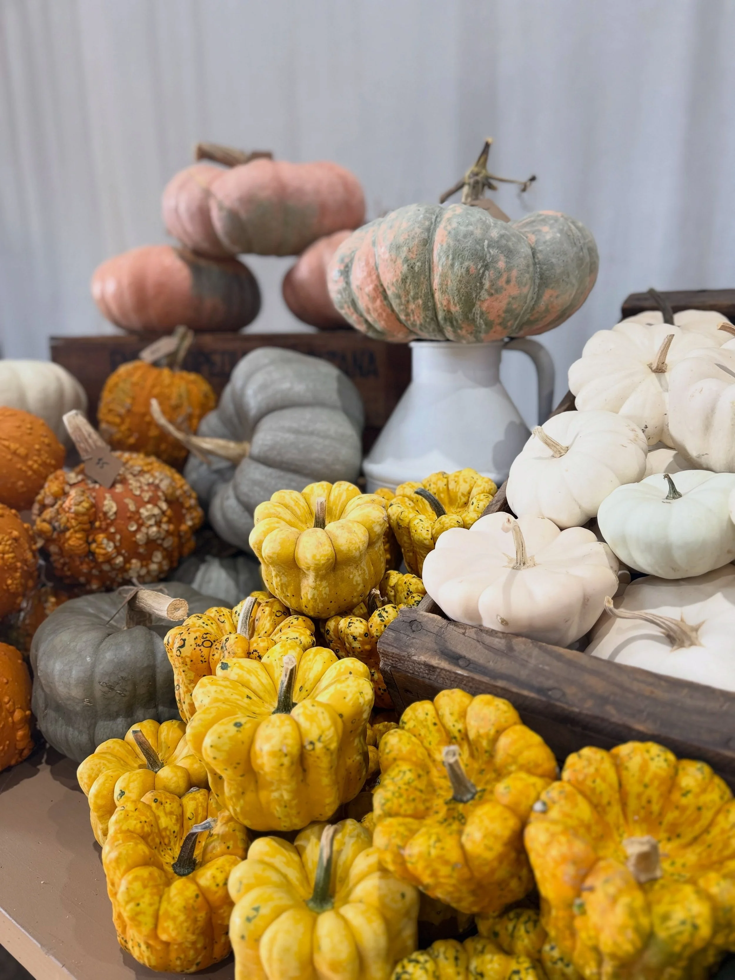 THE MARKET AT KILLDEER FARMS: Saturday, 9-noon!

We hope you&rsquo;ll join us for an autumnal morning of relaxation at the farm. Stop and smell the flowers along with a hot cup of coffee and a freshly baked cookie. Family friendly, local vendors, and