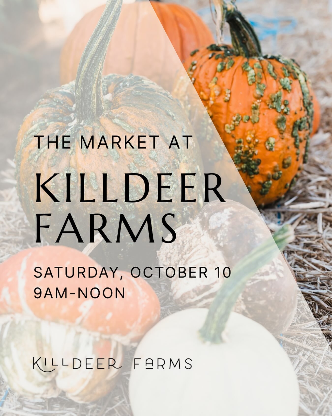 LAST MARKET OF THE SEASON! Come get too many pumpkins.

Our October Market at Killdeer Farms is coming up Saturday, October 10, and it&rsquo;s the final market of our 2026 season.

By October, the farm feels different. The flowers are slowing down bu