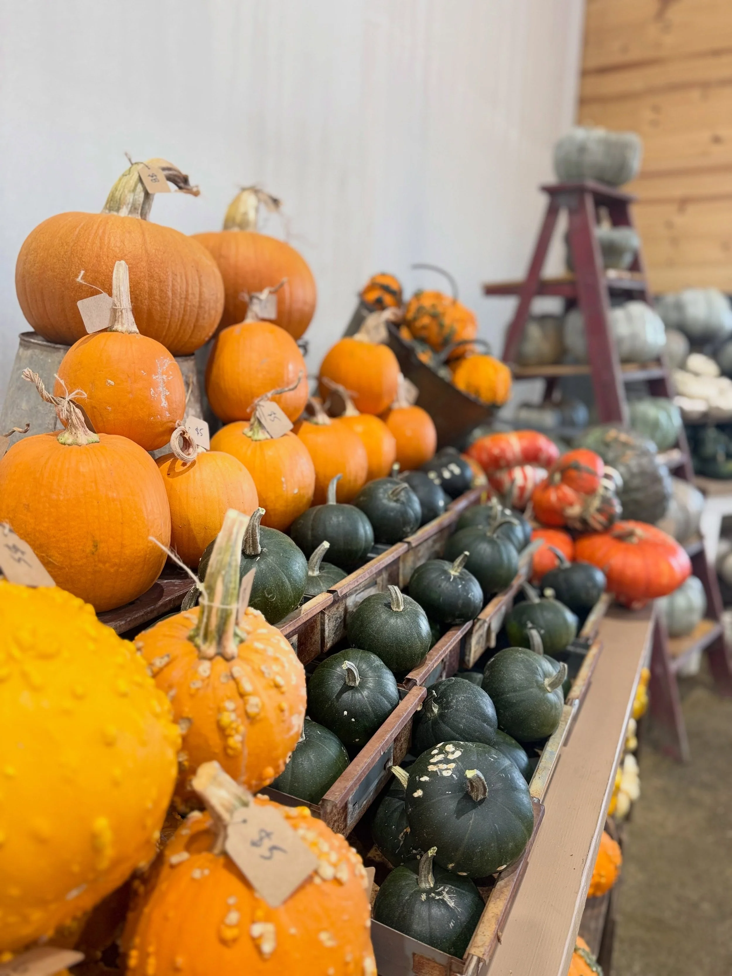 END THE PUMPKIN CHAOS! Skip the carnival and relax.

Imagine getting your porch pumpkins this year without paying $20 to park. You do not have to fend off a petting zoo. You do not have to negotiate cotton candy with your toddler at 10 am. 

You can 