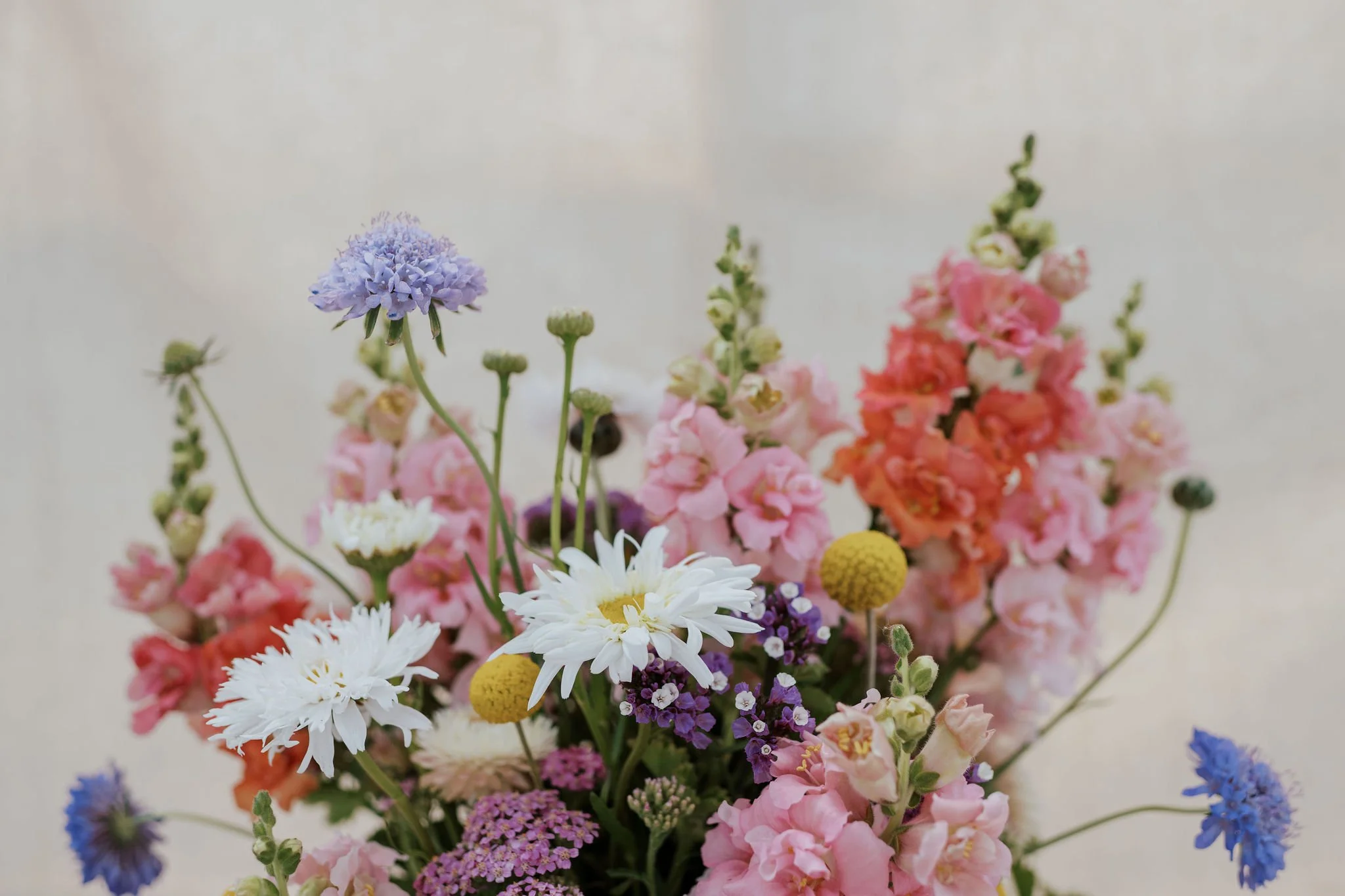 About — Killdeer Farms