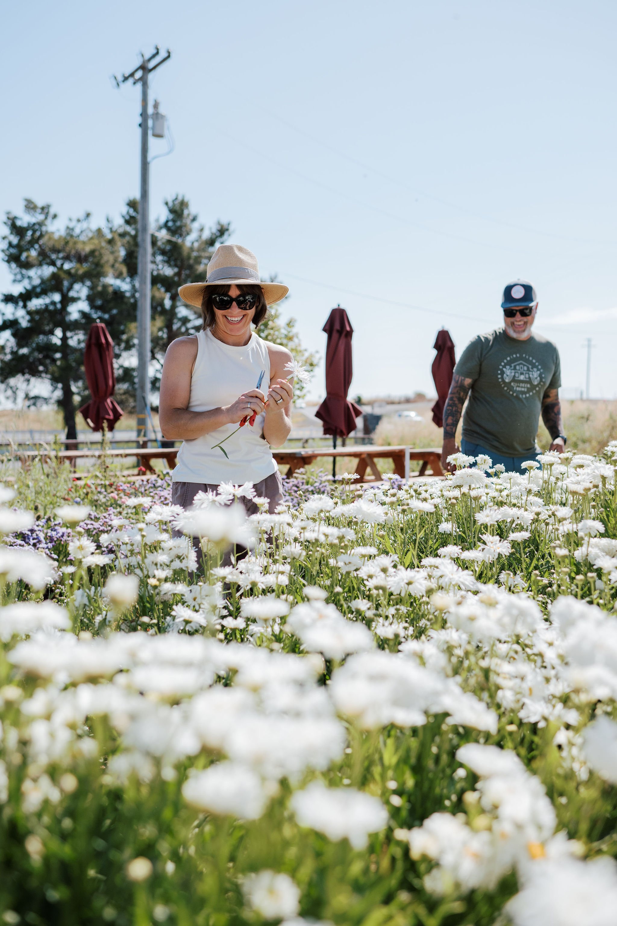 How to Visit — Killdeer Farms