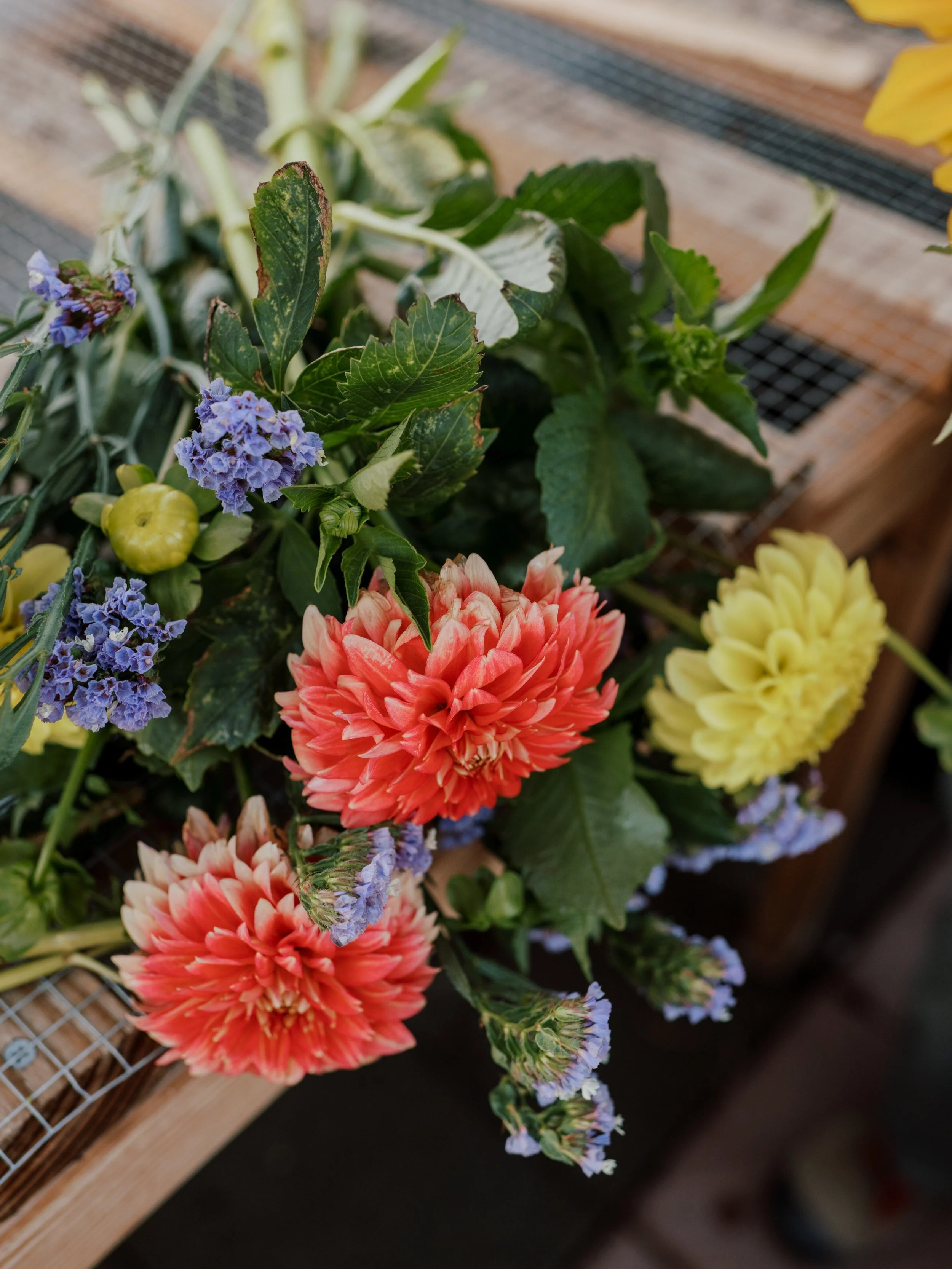 How to Visit — Killdeer Farms