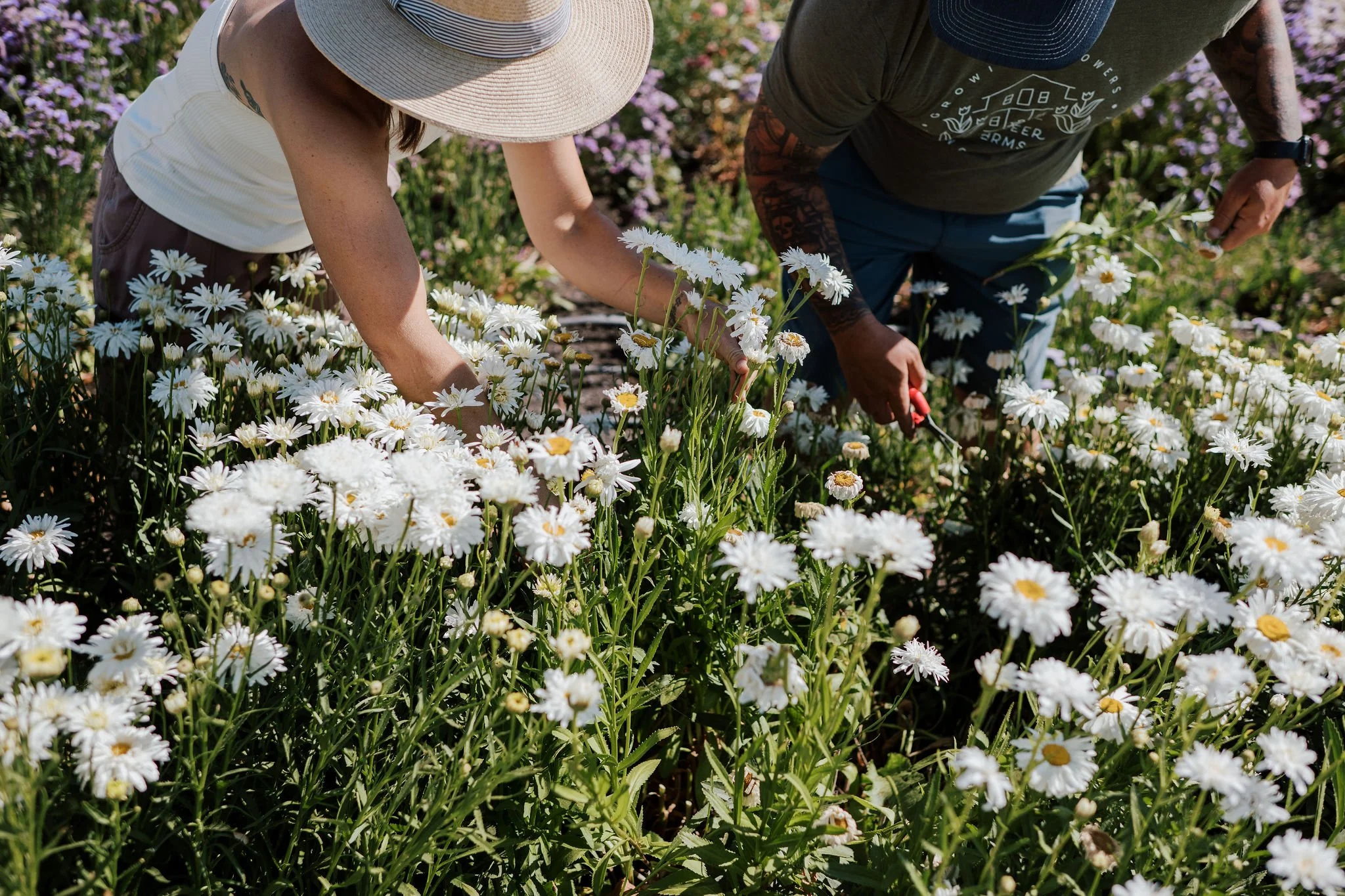 How to Visit — Killdeer Farms