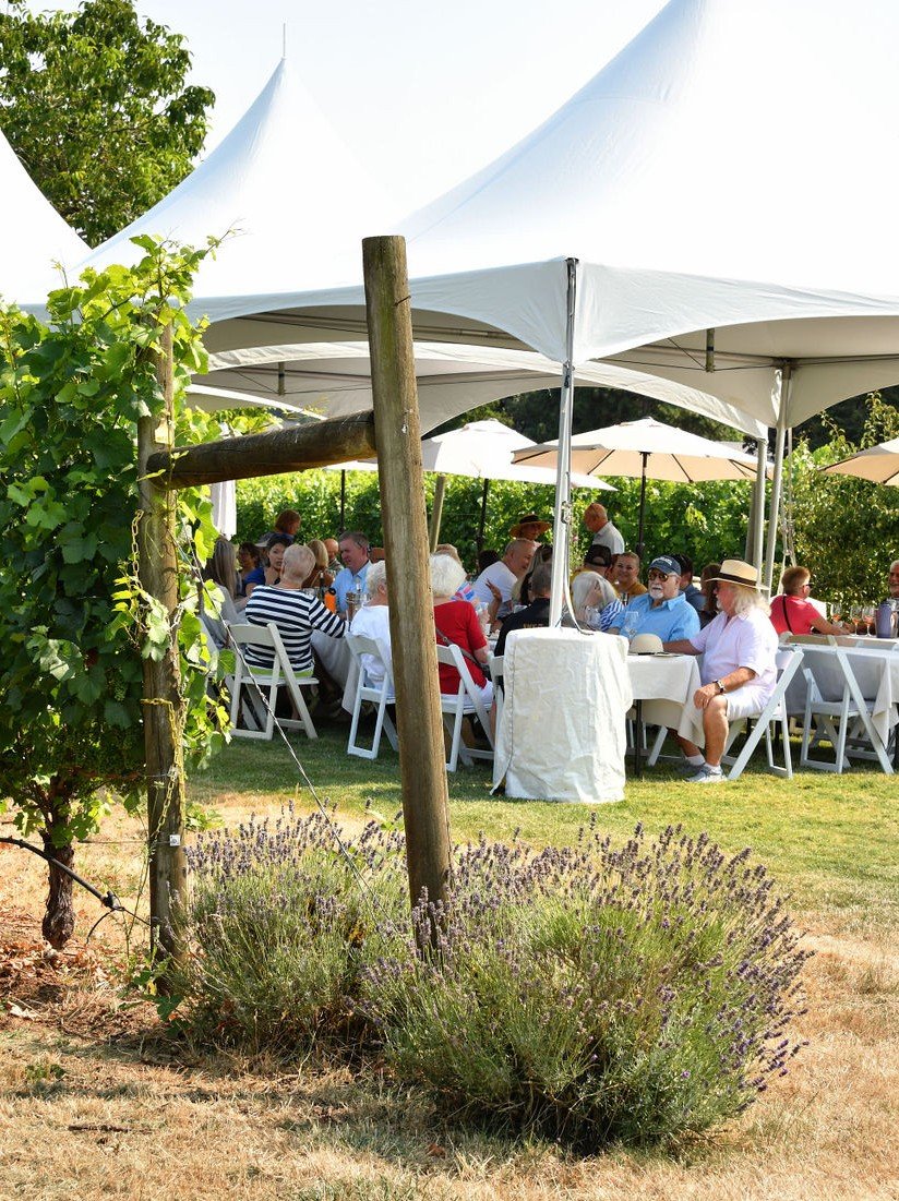 Summer Wine Club Pick Up Event at the Estate Vineyard