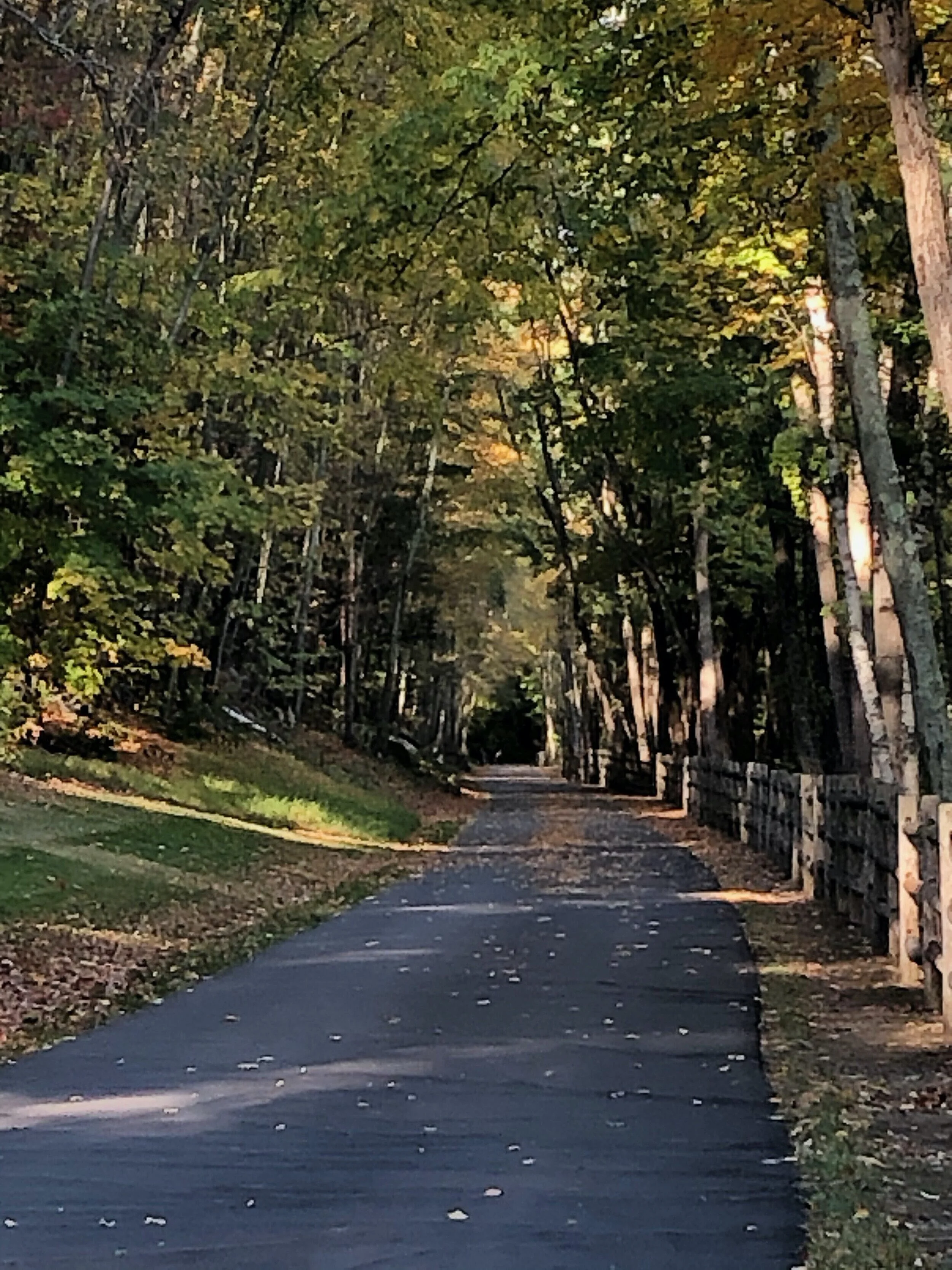 While you’re on the Path…