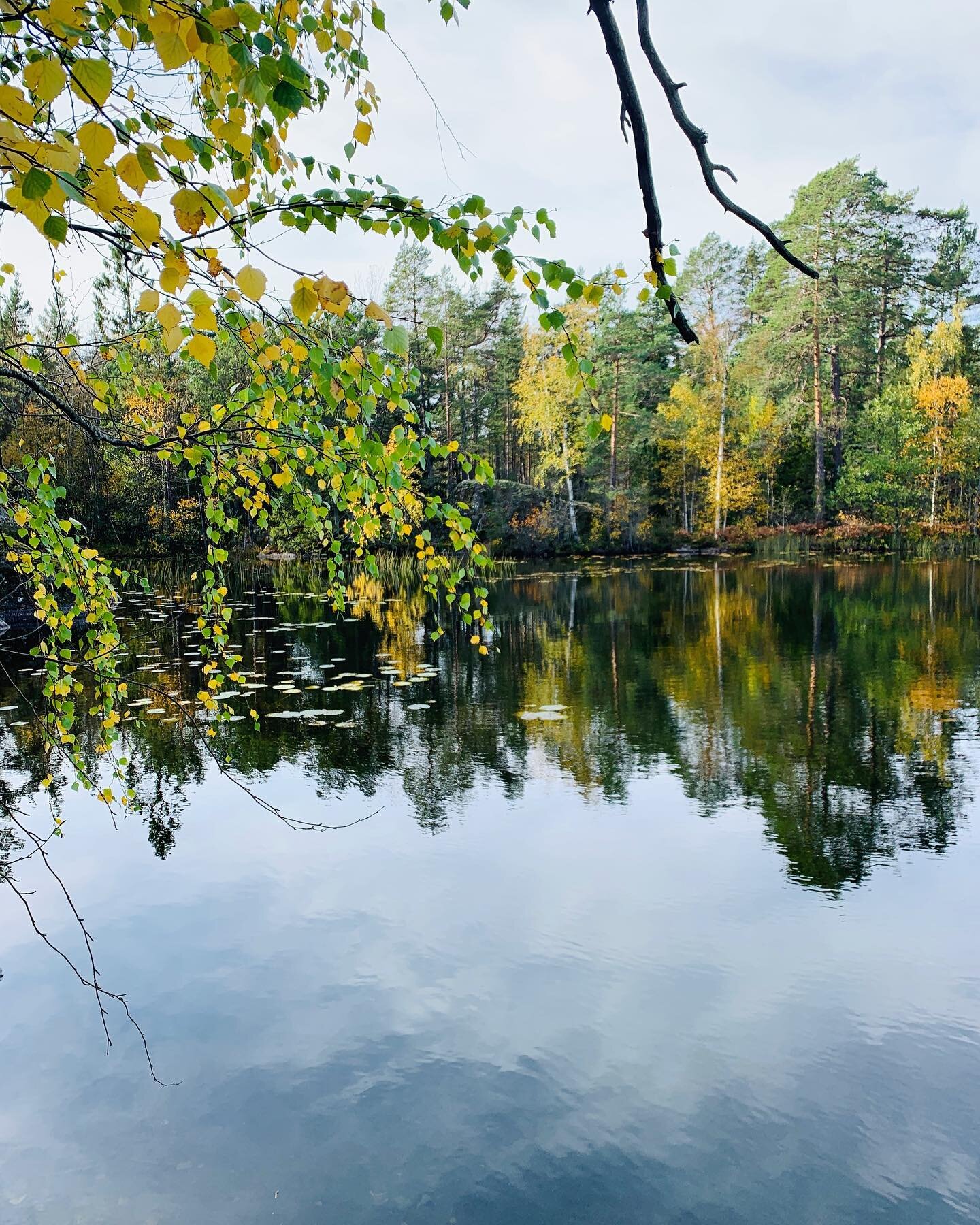 S&aring; g&ouml;r du h&ouml;sten mer h&auml;rlig! 🍁🍂🌟

September &auml;r snart slut och h&ouml;sten g&ouml;r sig alltmer p&aring;mind. Kv&auml;llarna blir m&ouml;rkare, luften klarare, regnet droppar och l&ouml;ven byter f&auml;rg. H&ouml;sten &au