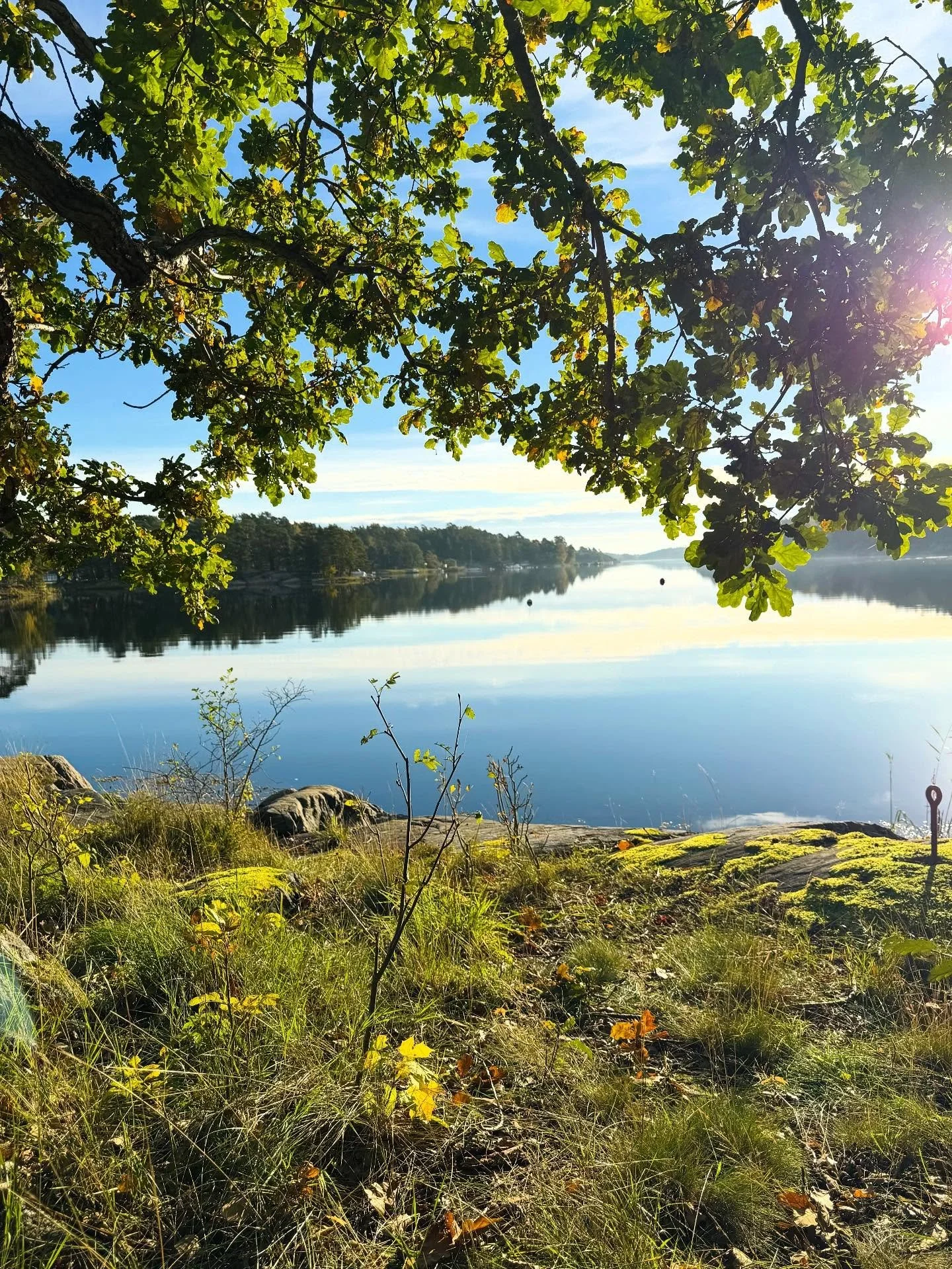 Wake up call 🍂

H&ouml;stl&ouml;ven faller till marken och nym&aring;nens energi sveper in och viskar om f&ouml;r&auml;ndring. 🌙

Kanske om n&aring;got som k&auml;nns l&auml;skigt, stort, fr&auml;mmande eller nerv&ouml;st.

En ny id&eacute;, ett ny