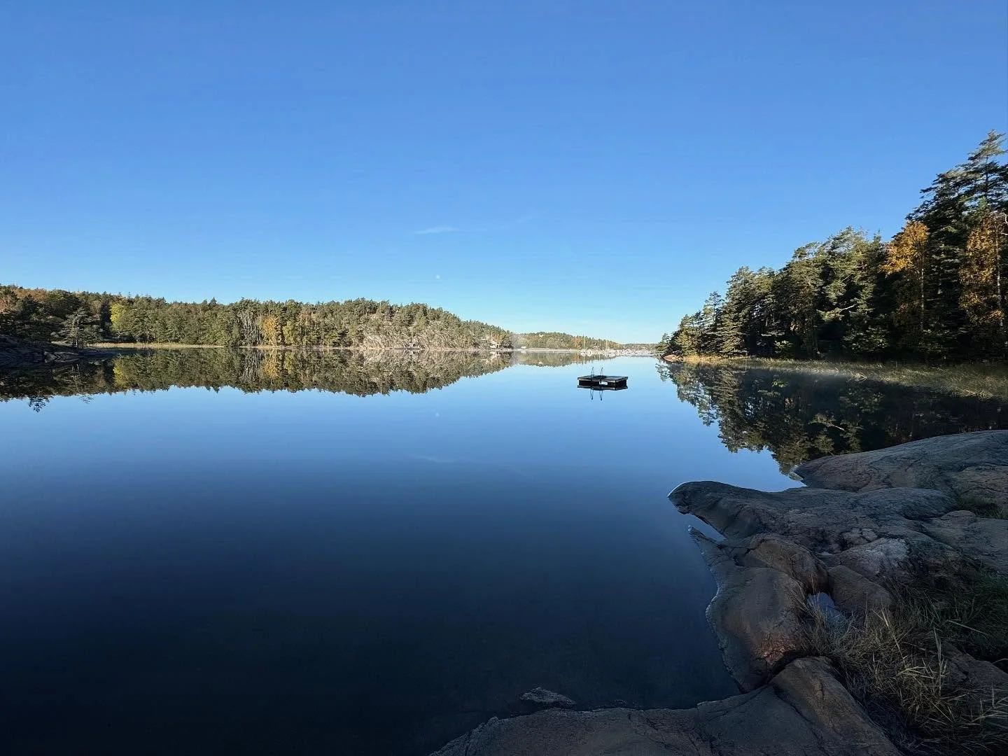 Rest in order to manifest 🦋

Innan ett stort sj&auml;lsligt skifte kan ske beh&ouml;ver vi dra oss tillbaka, samla ihop oss och se alla l&auml;rdomar som vi haft l&auml;ngs v&auml;gen.

Ge oss sj&auml;lva extra vila och &aring;terh&auml;mtning f&oum