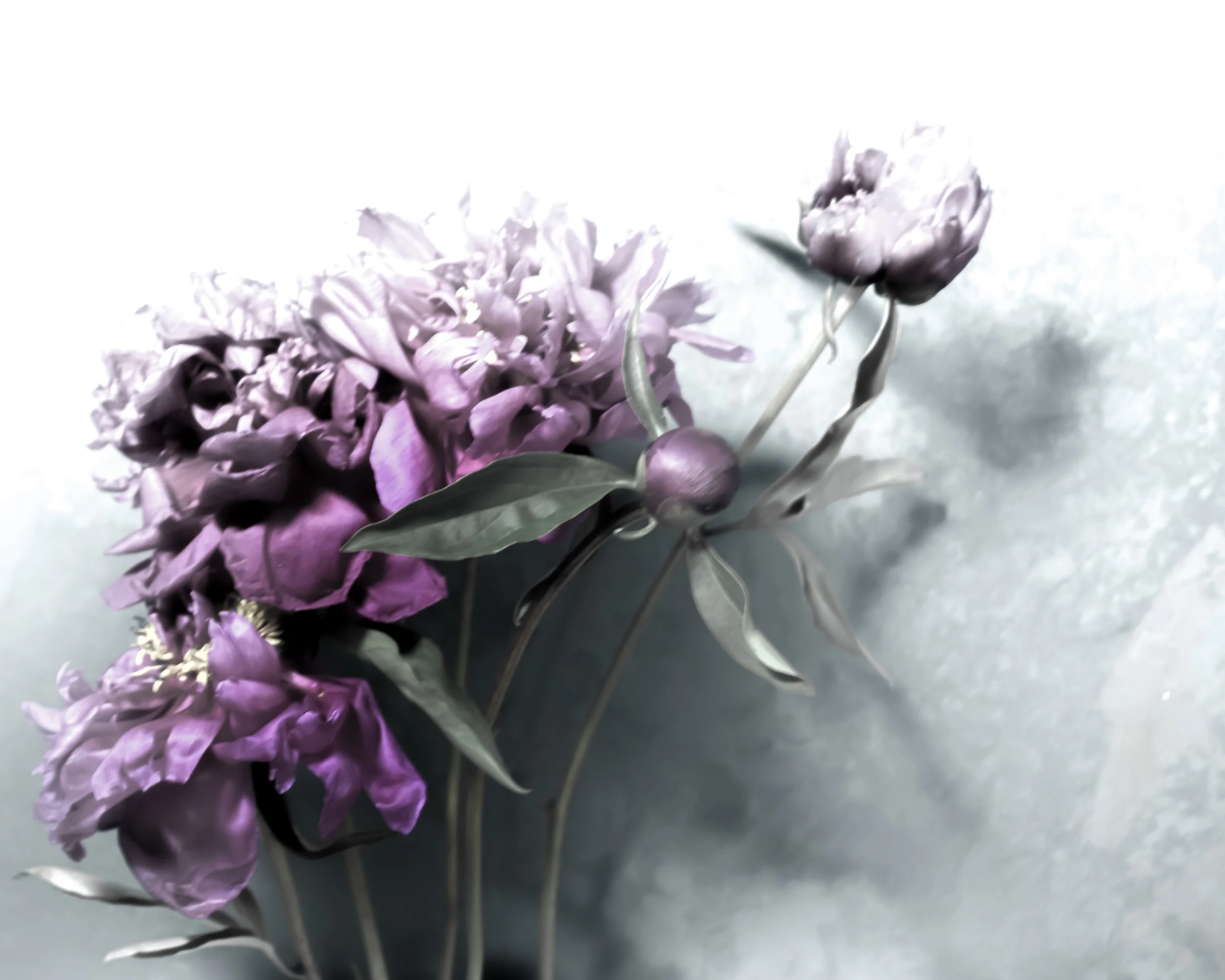 Bouquet.jpg