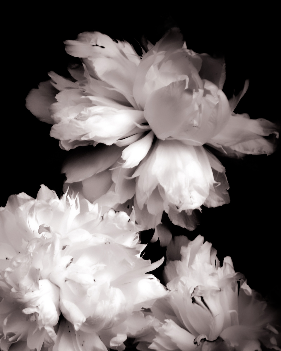 Photography