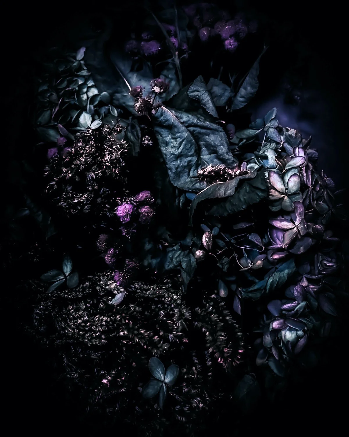 Enchanted Garden.jpg