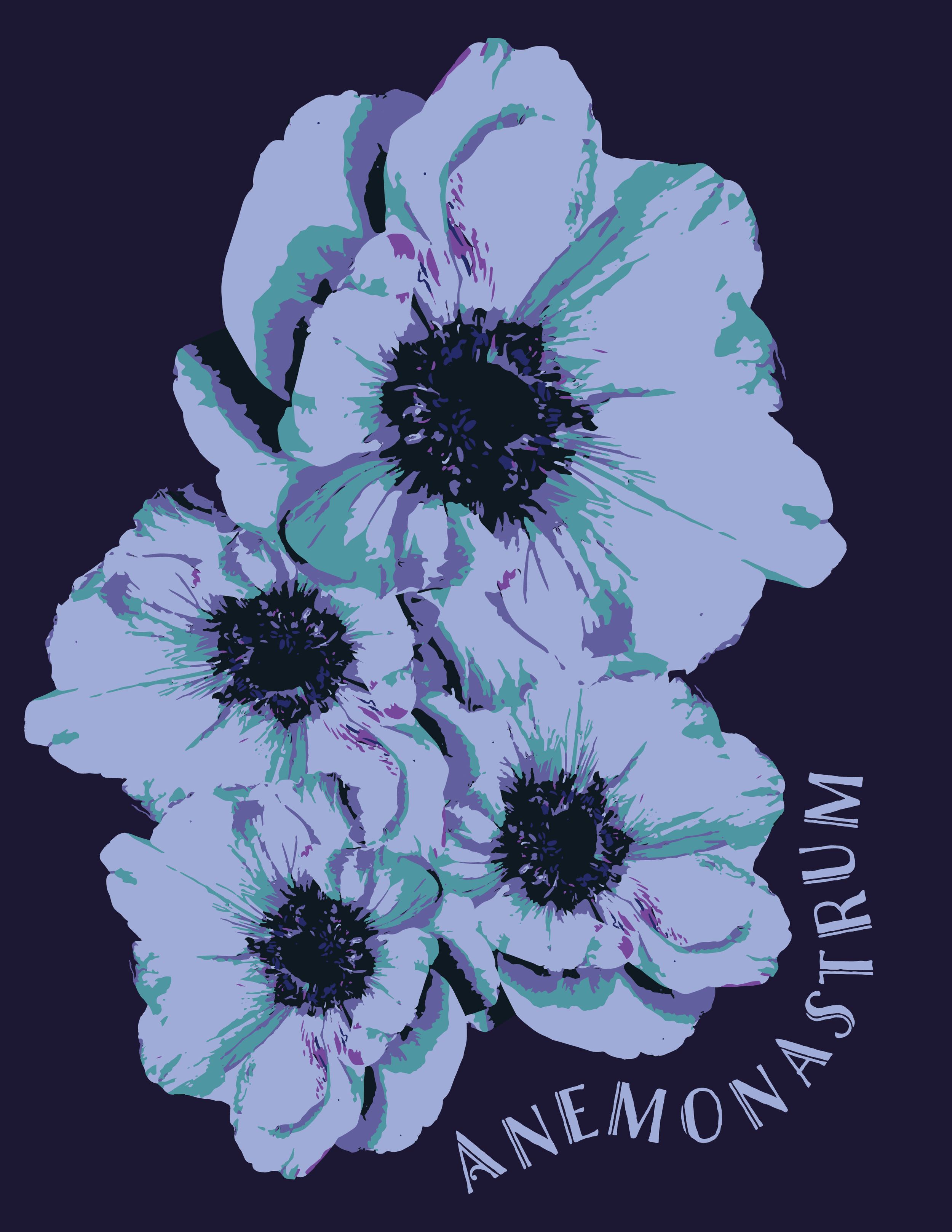 Anemonastrum.png