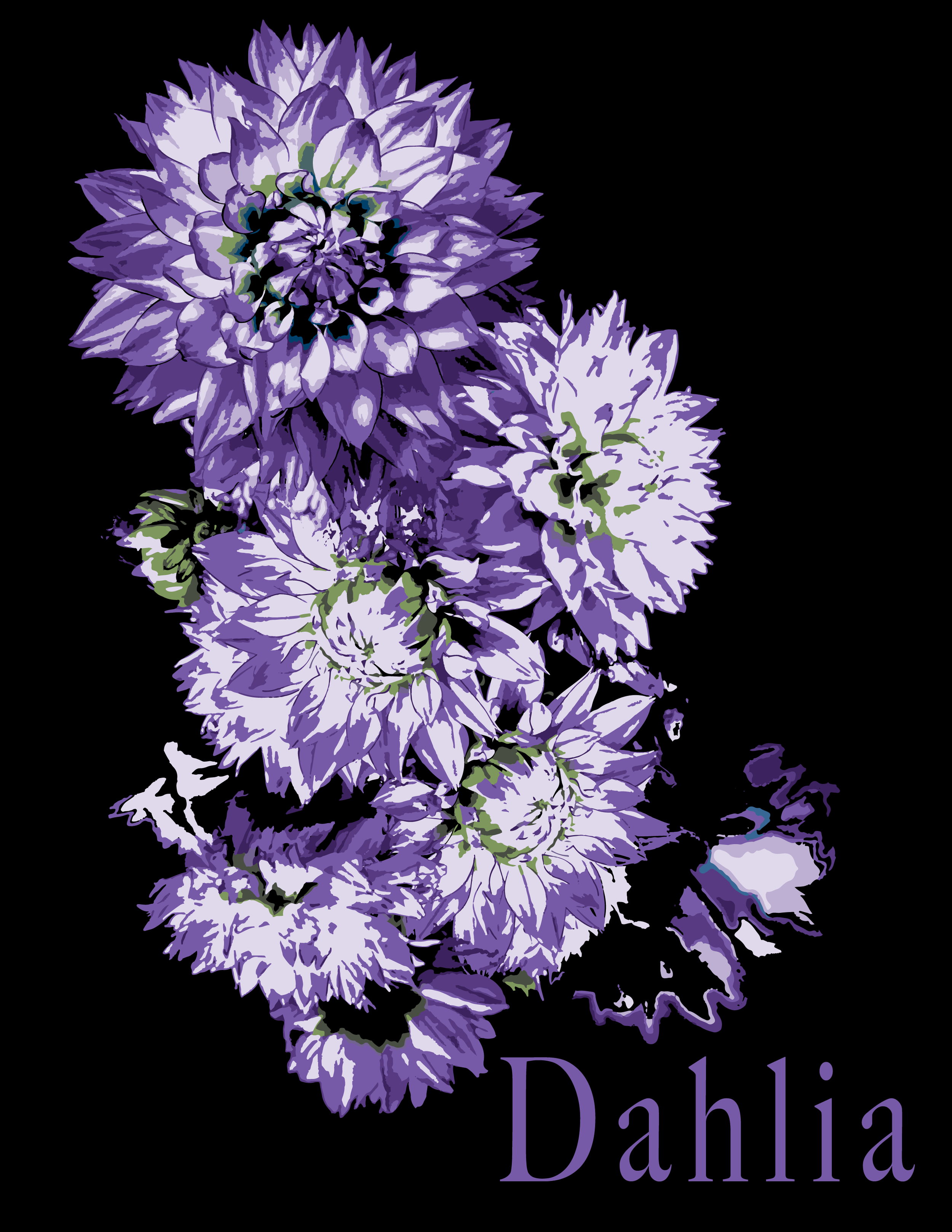 Dahlia.png