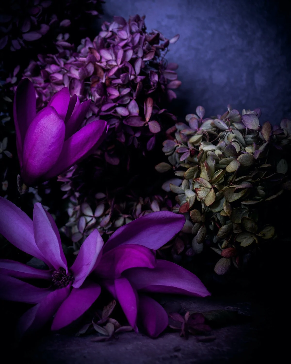 Spring's Arrival.jpg
