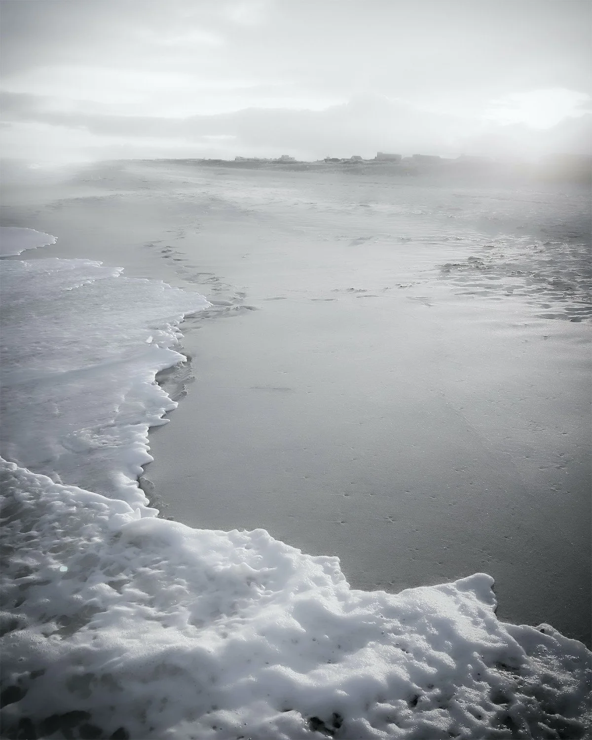 Shoreline No. 3.jpg