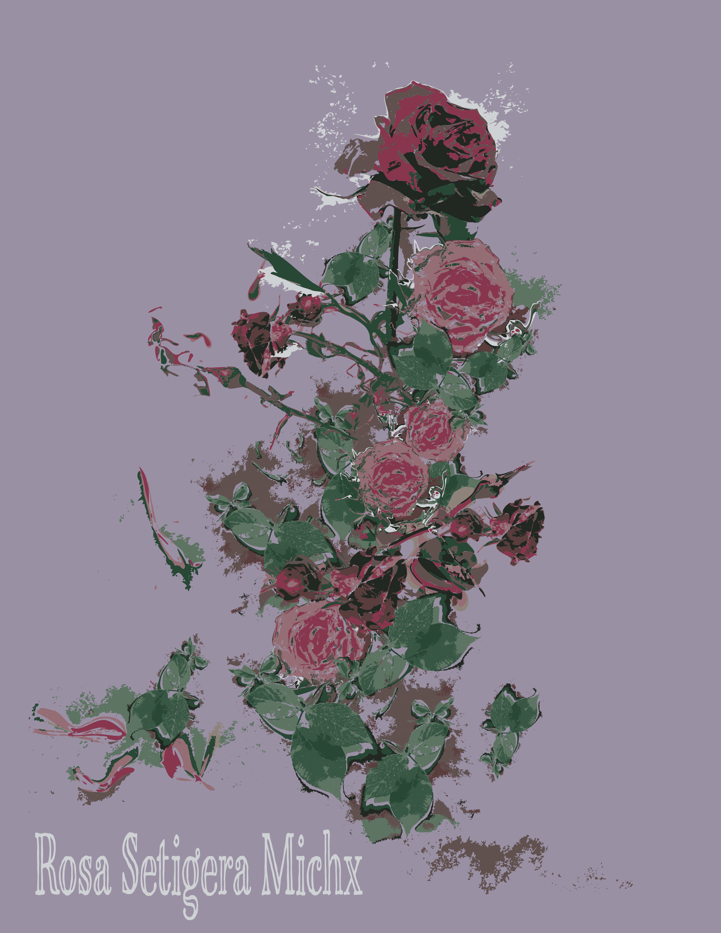 Rosa Setigera Michx.png