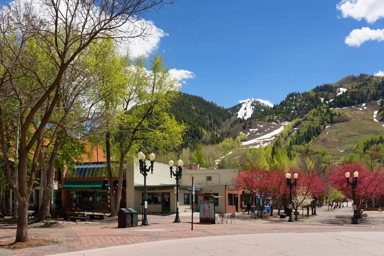 401 E Hyman Avenue, Aspen