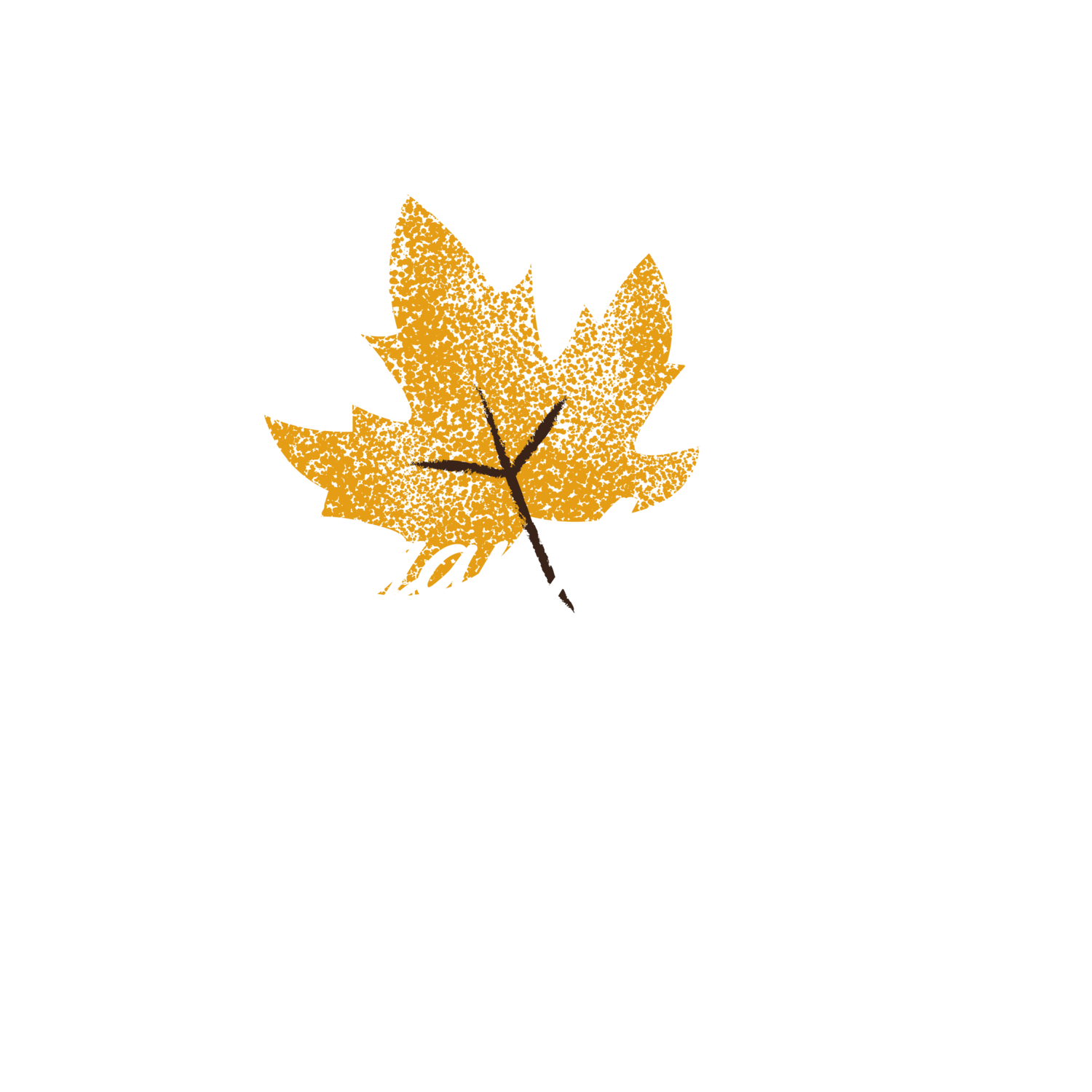 Sugar Maple Photo