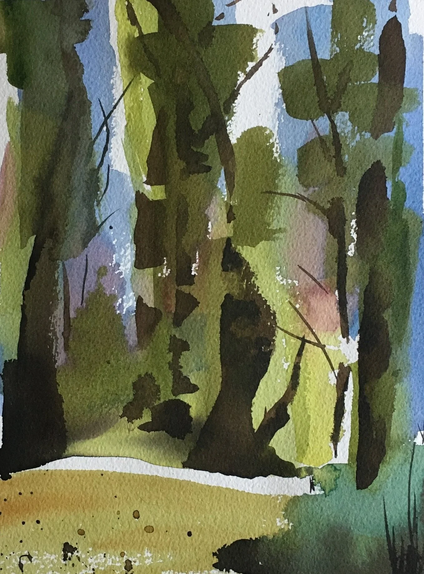 Washington Arboretum, watercolor, 2018