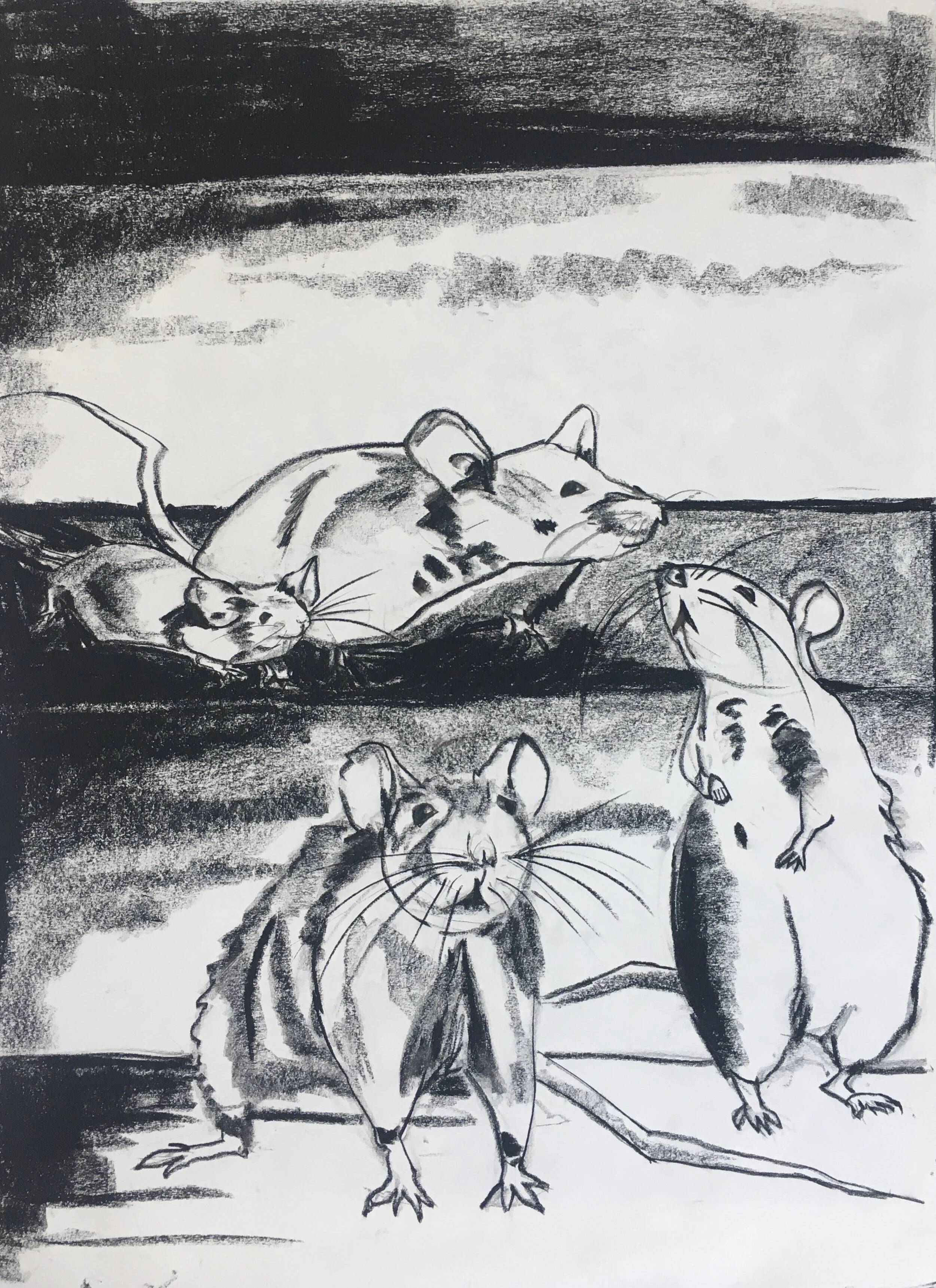 untitled study, charcoal