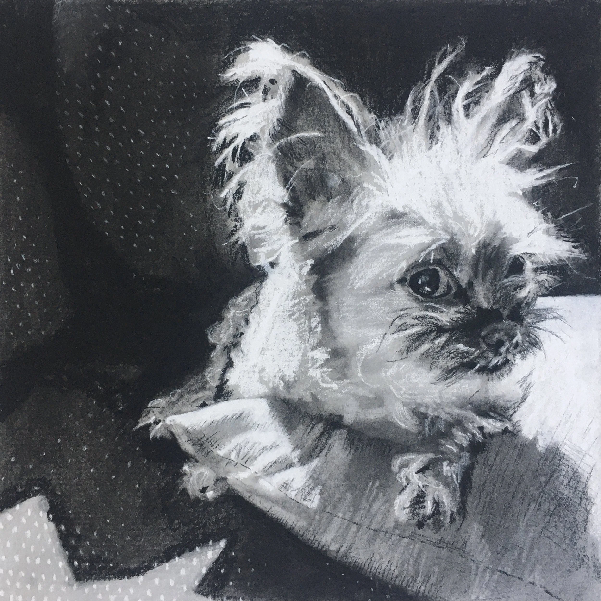 Ender, charcoal, 8" x 8", 2020