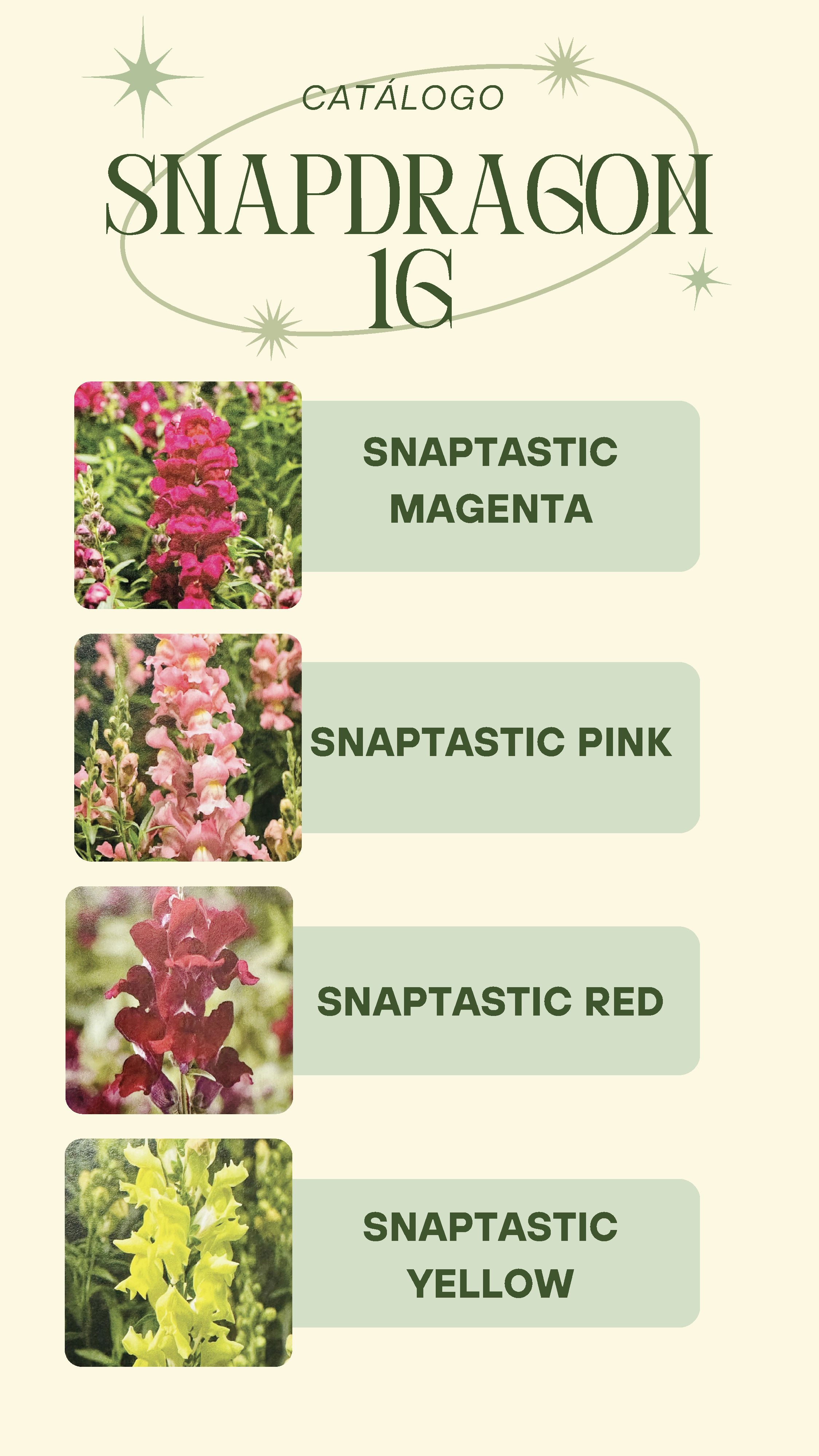 P. GARCIA CATALOG 2025_Page_28.png