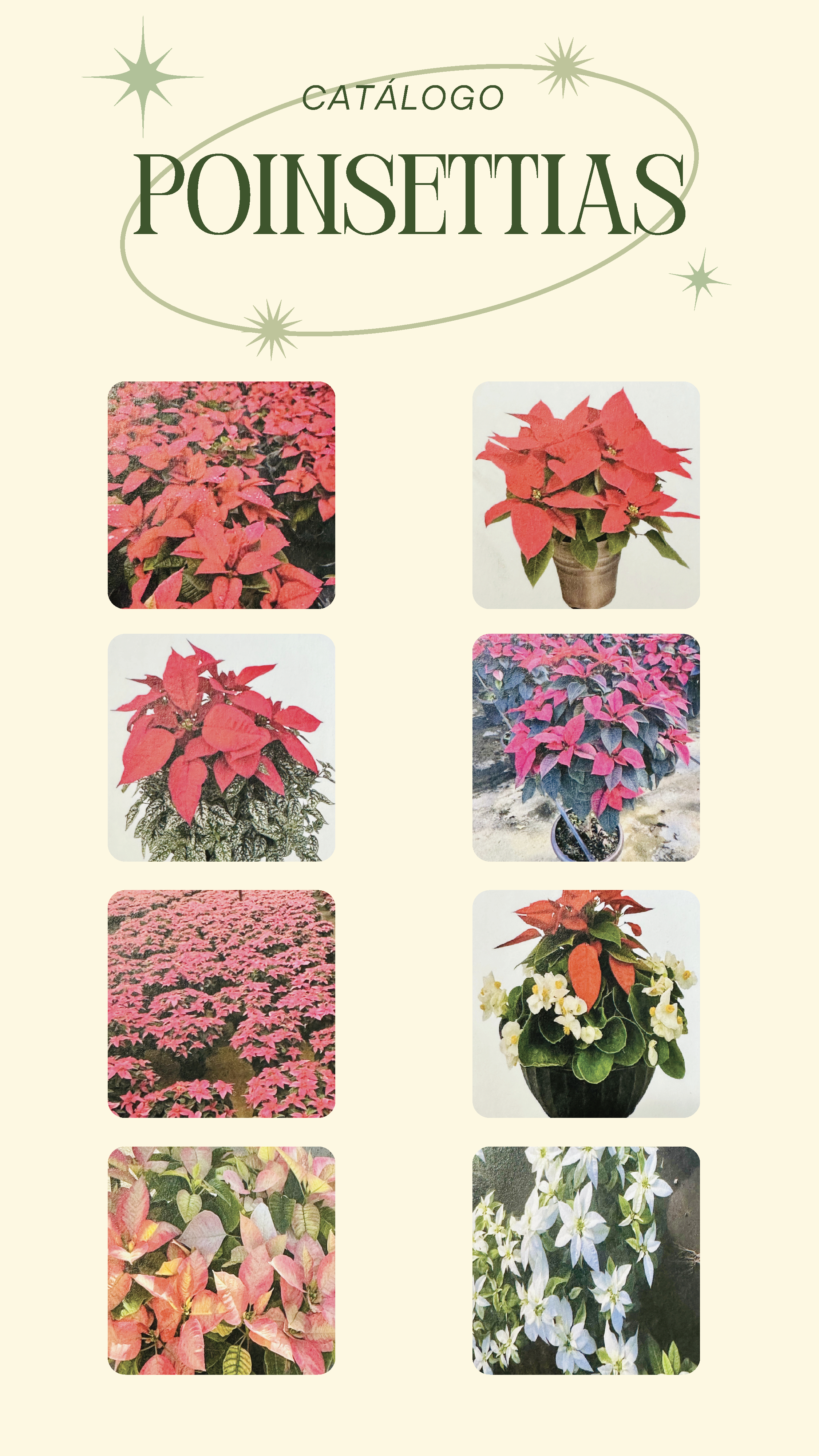 P. GARCIA CATALOG 2025_Page_32.png