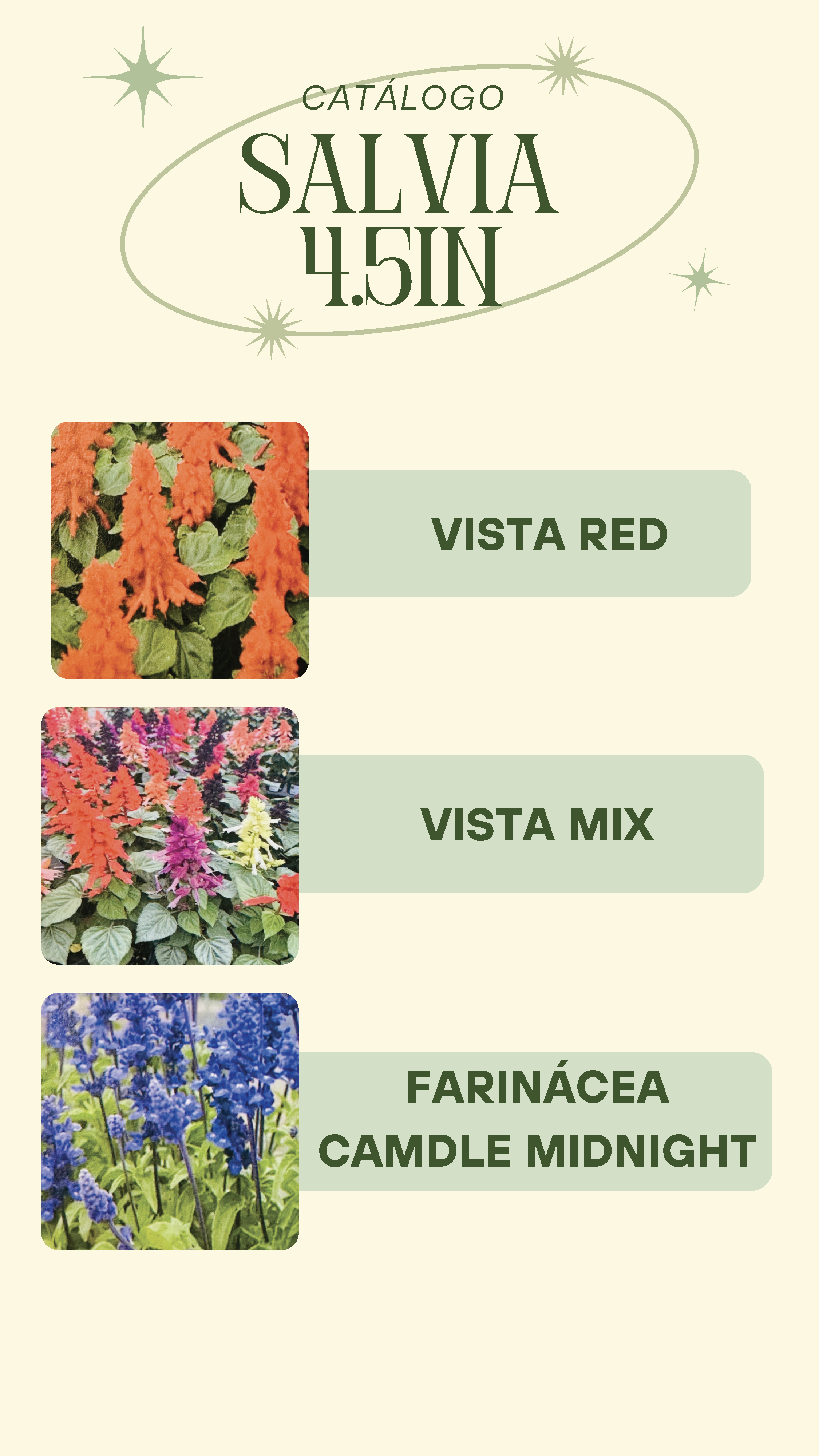 P. GARCIA CATALOG 2025_Page_25.png