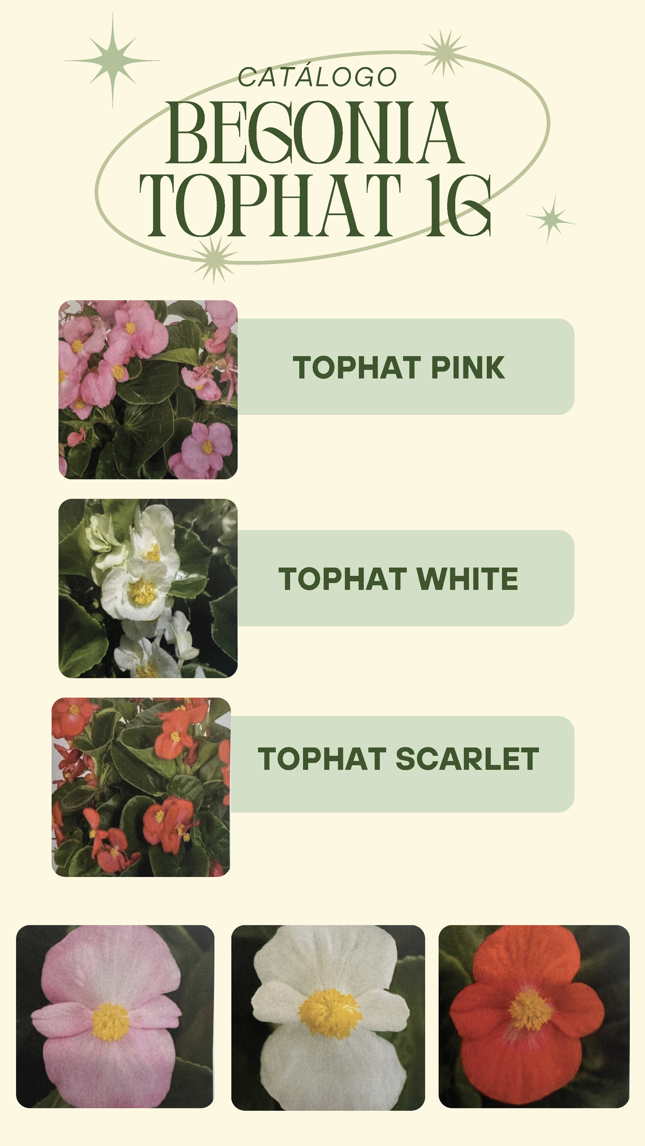P. GARCIA CATALOG 2025_Page_05.png