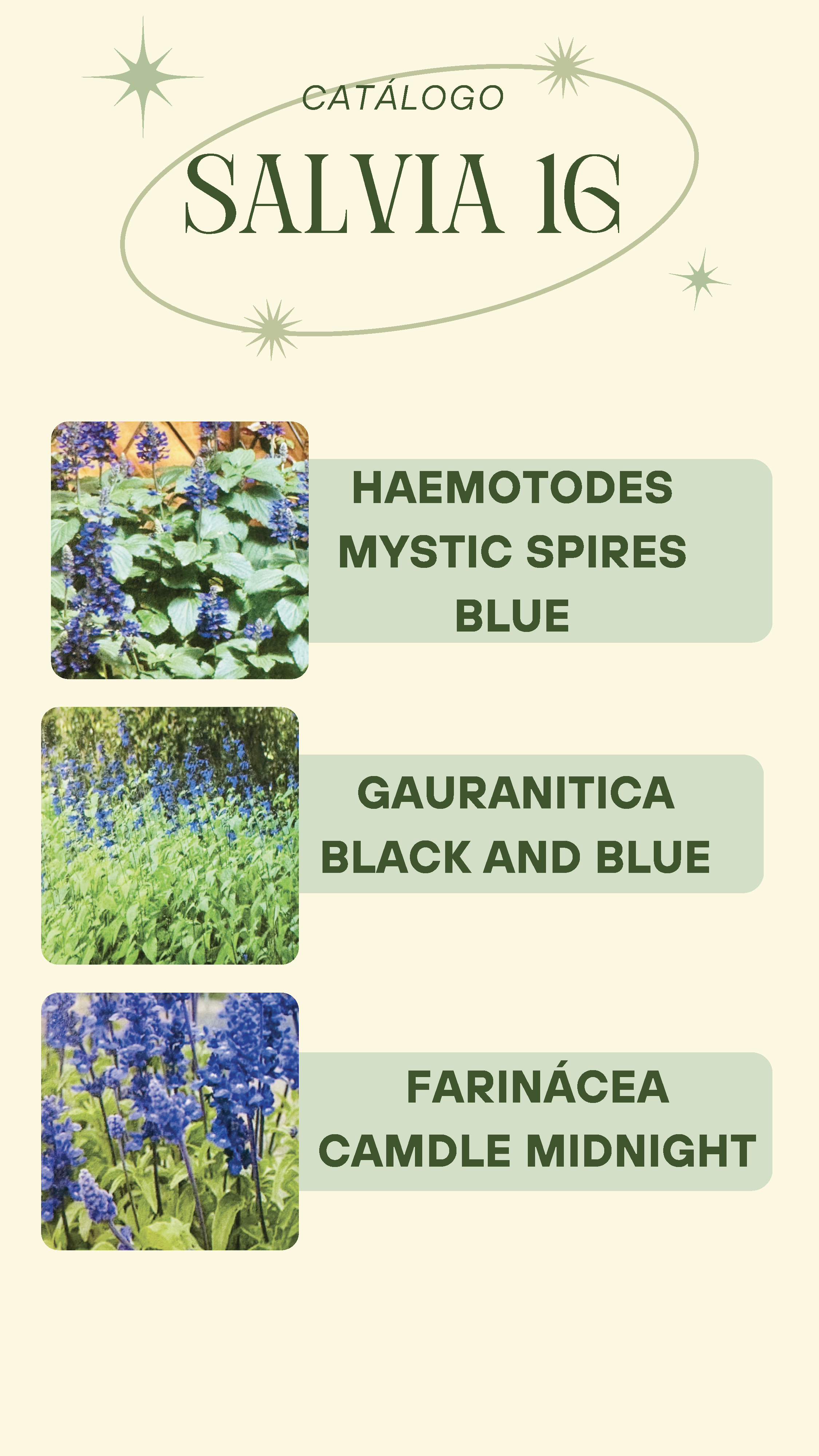 P. GARCIA CATALOG 2025_Page_26.png