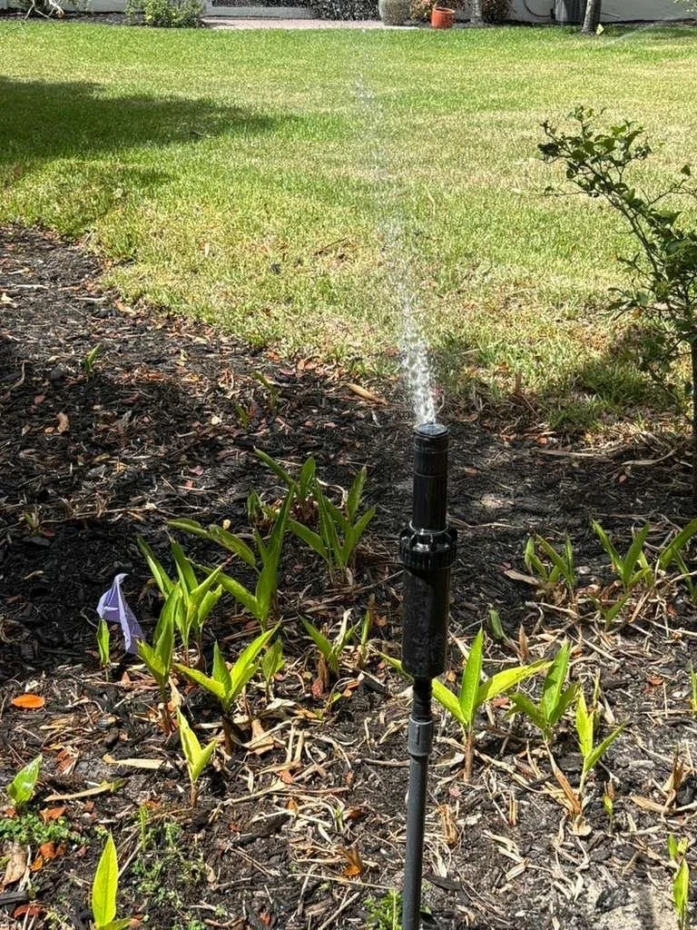 aa177fe0-f2cc-466f-86ba-2030ddbb855d.jpeg
