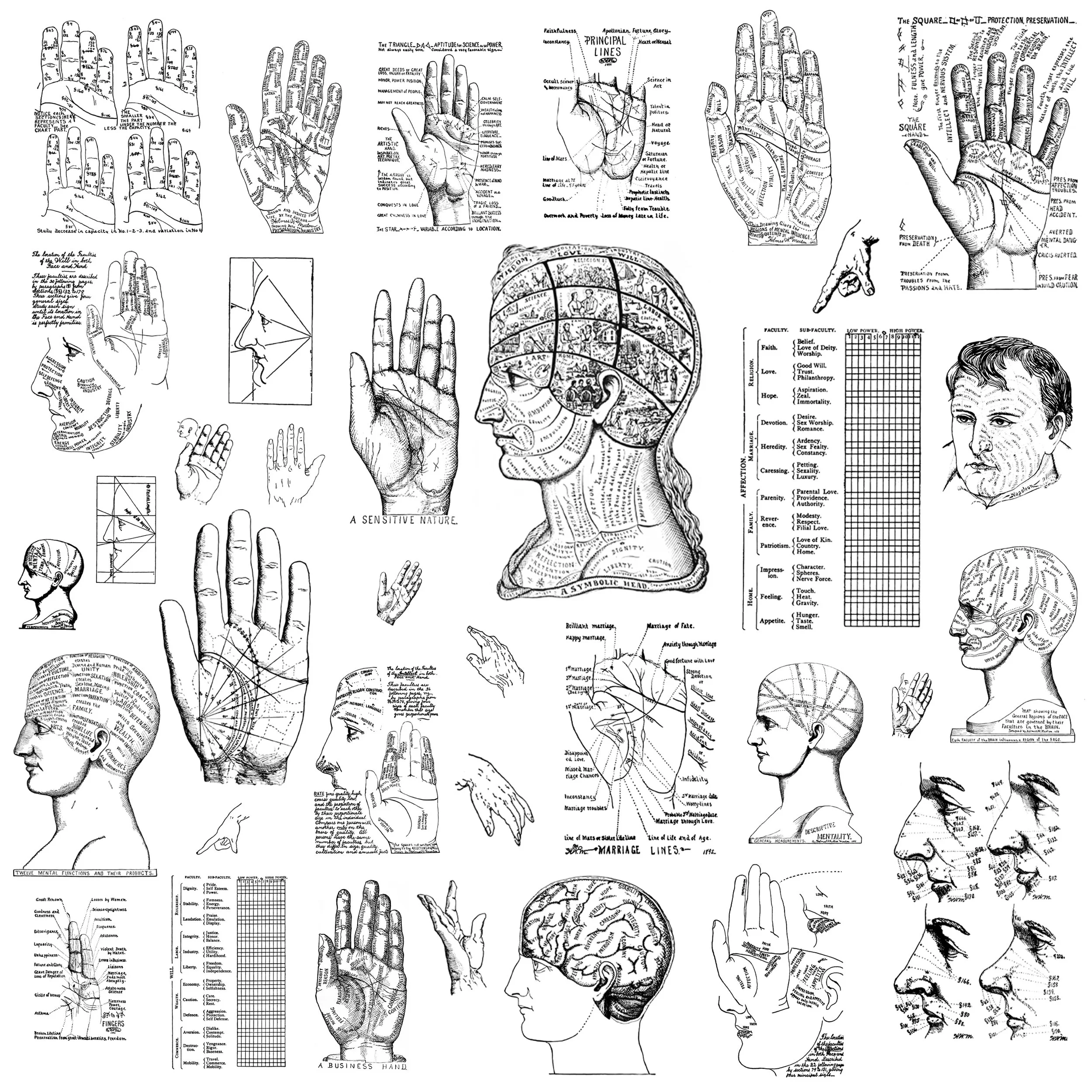 Physical Mentality (digital asset)