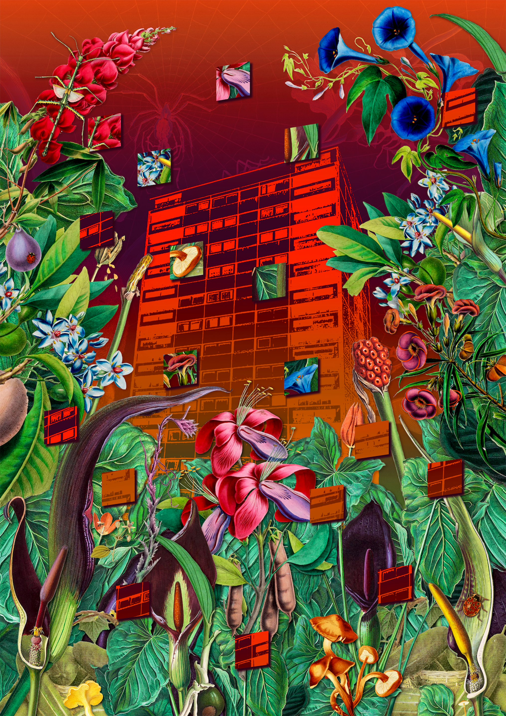 _Native Land - Jazmin Zyila.png