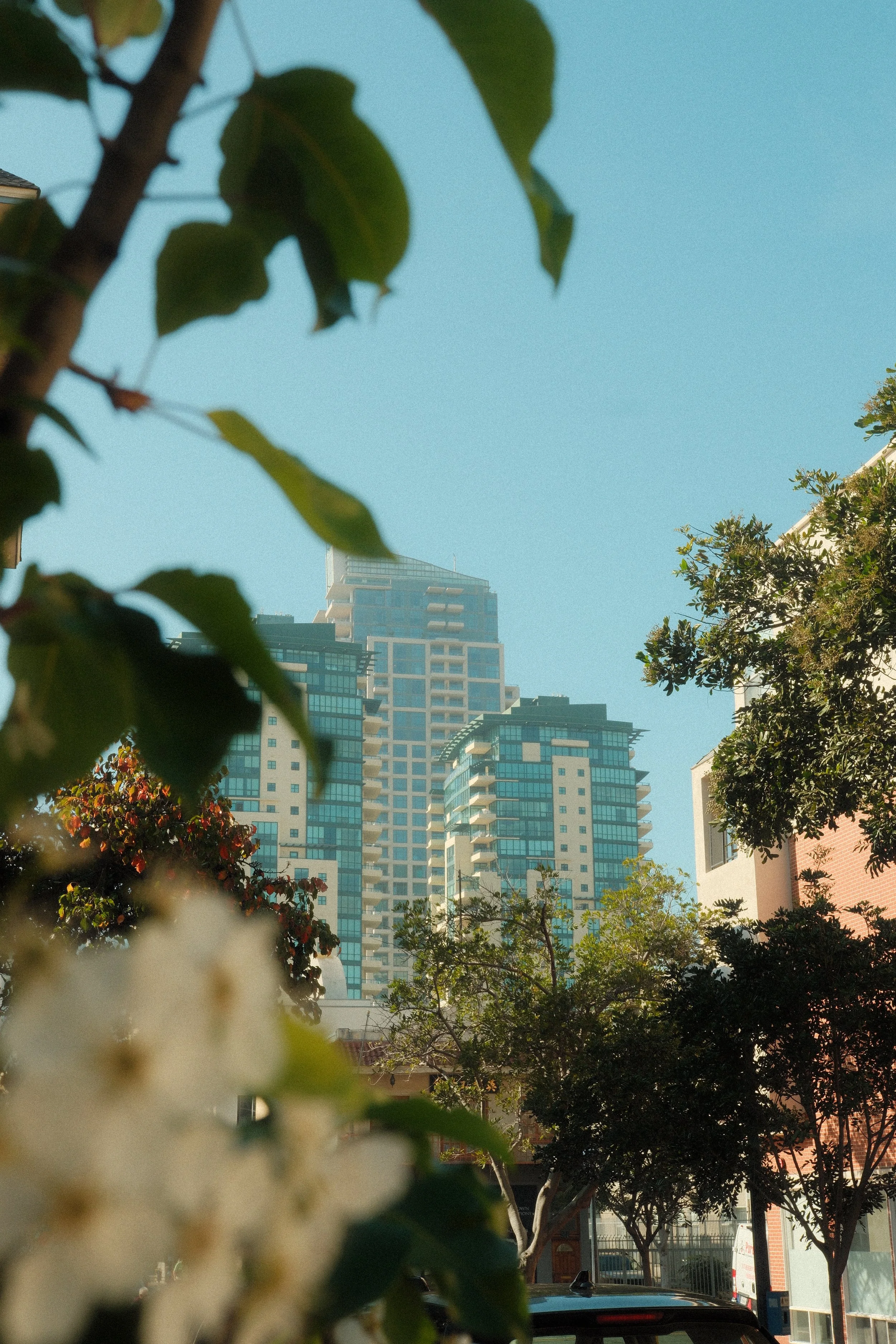 DSCF2871.JPG