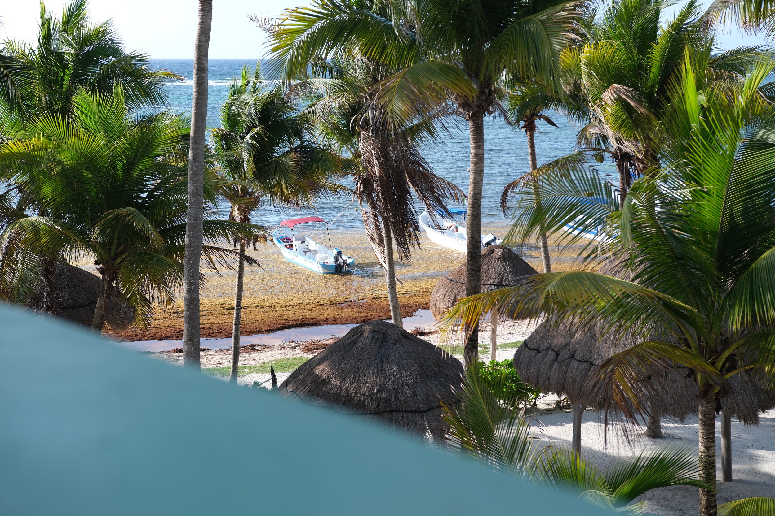 DSCF5229.JPG