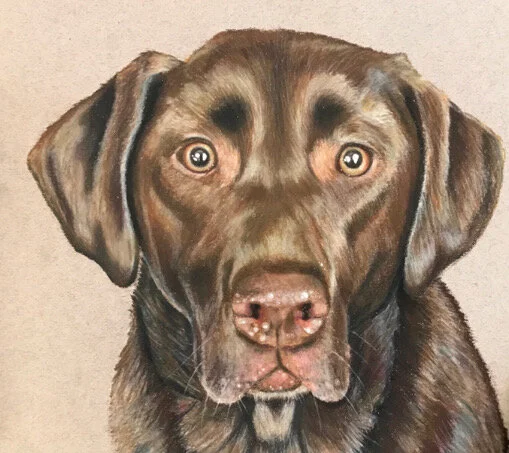 Mac- 9"x12" color pencil on paper
