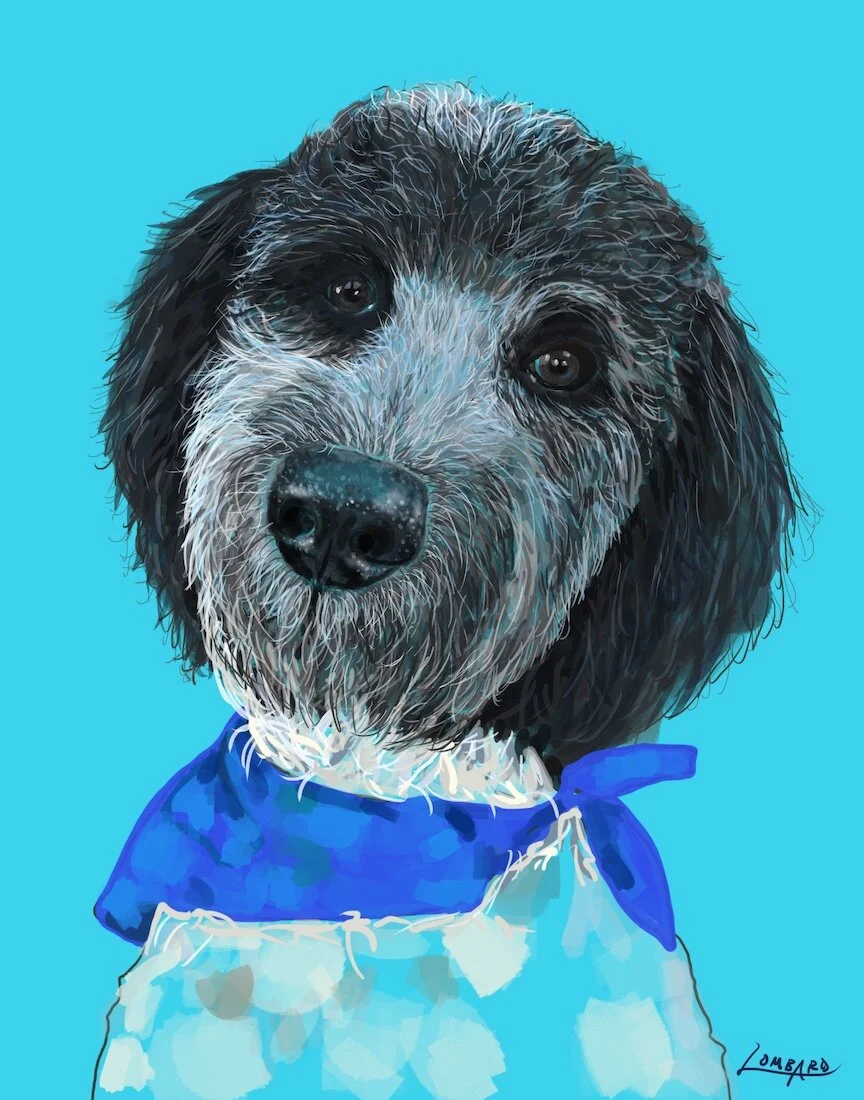 Murphy- digital drawing printed on metal
