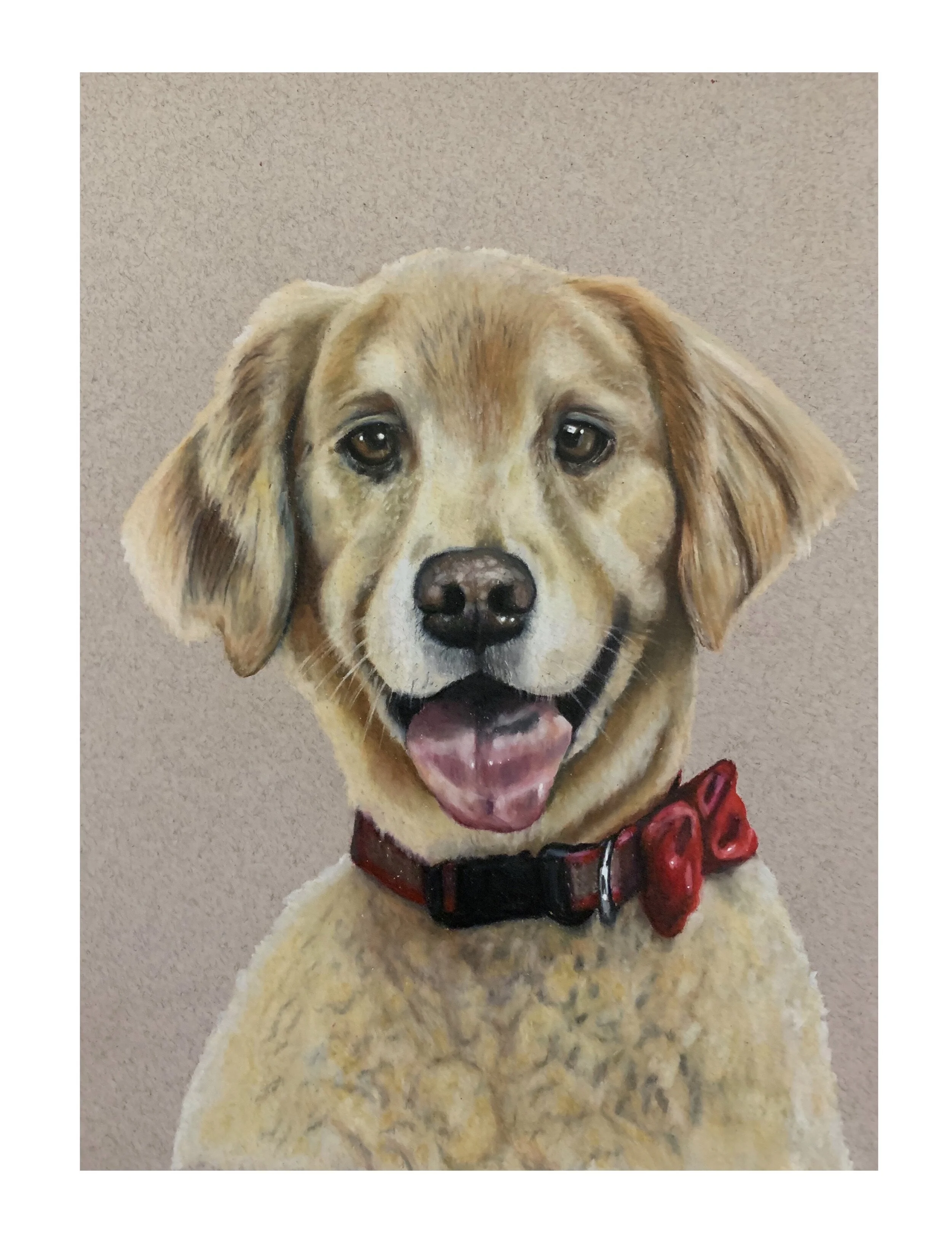 Chipper- color pencil on paper