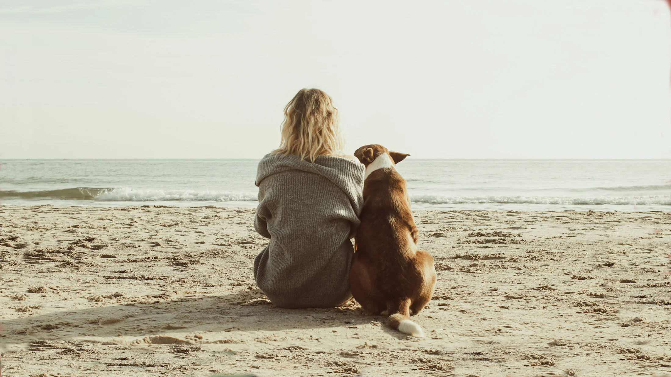 adoption-header-2.jpg